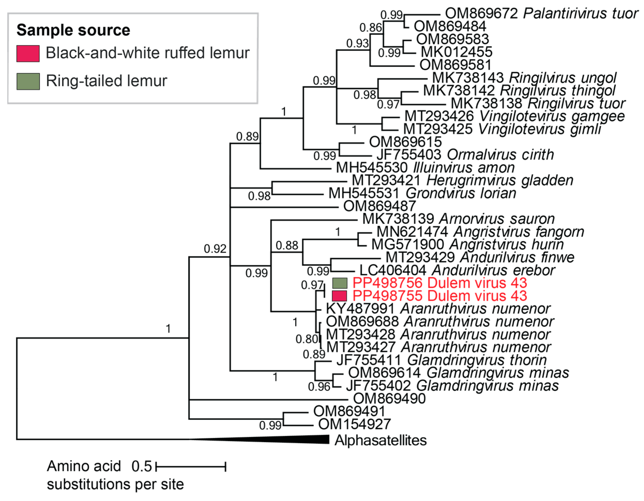 Viruses 16 01099 g010