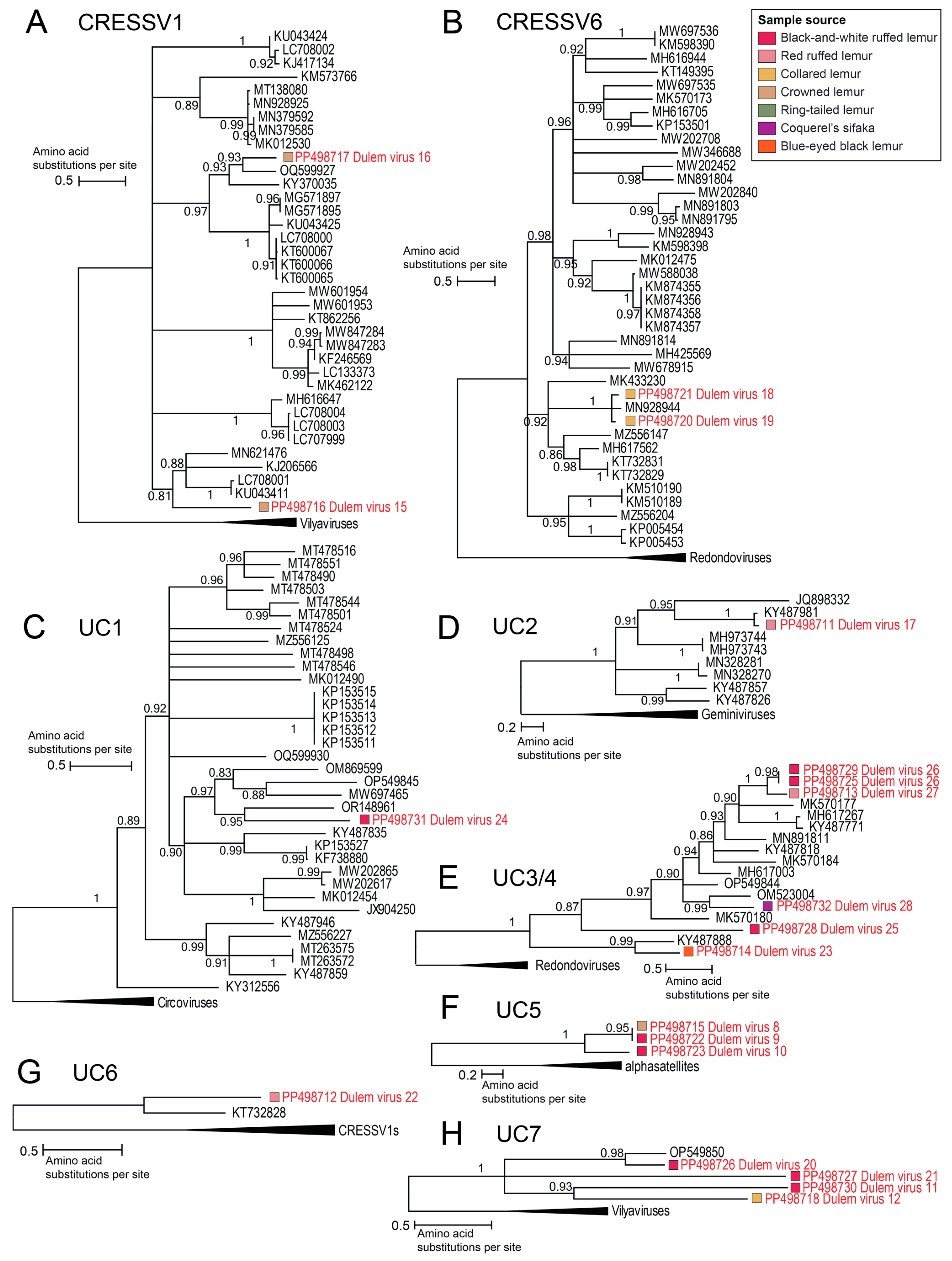 Viruses 16 01099 g011