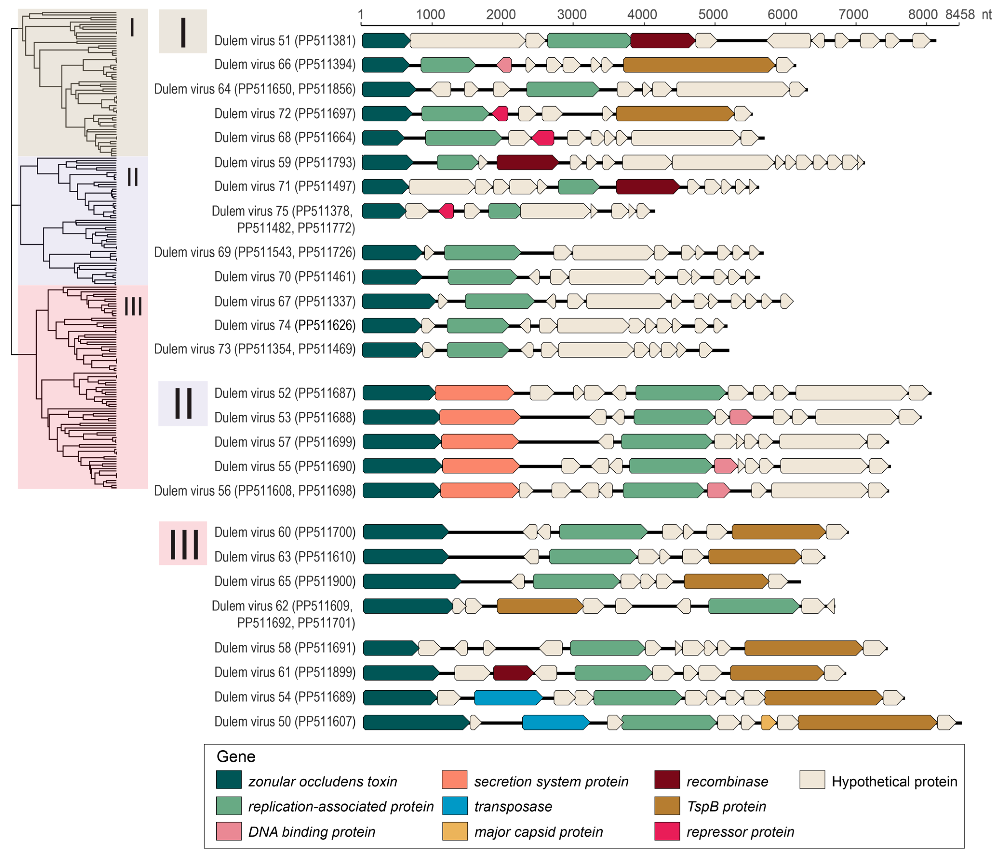 Viruses 16 01099 g015