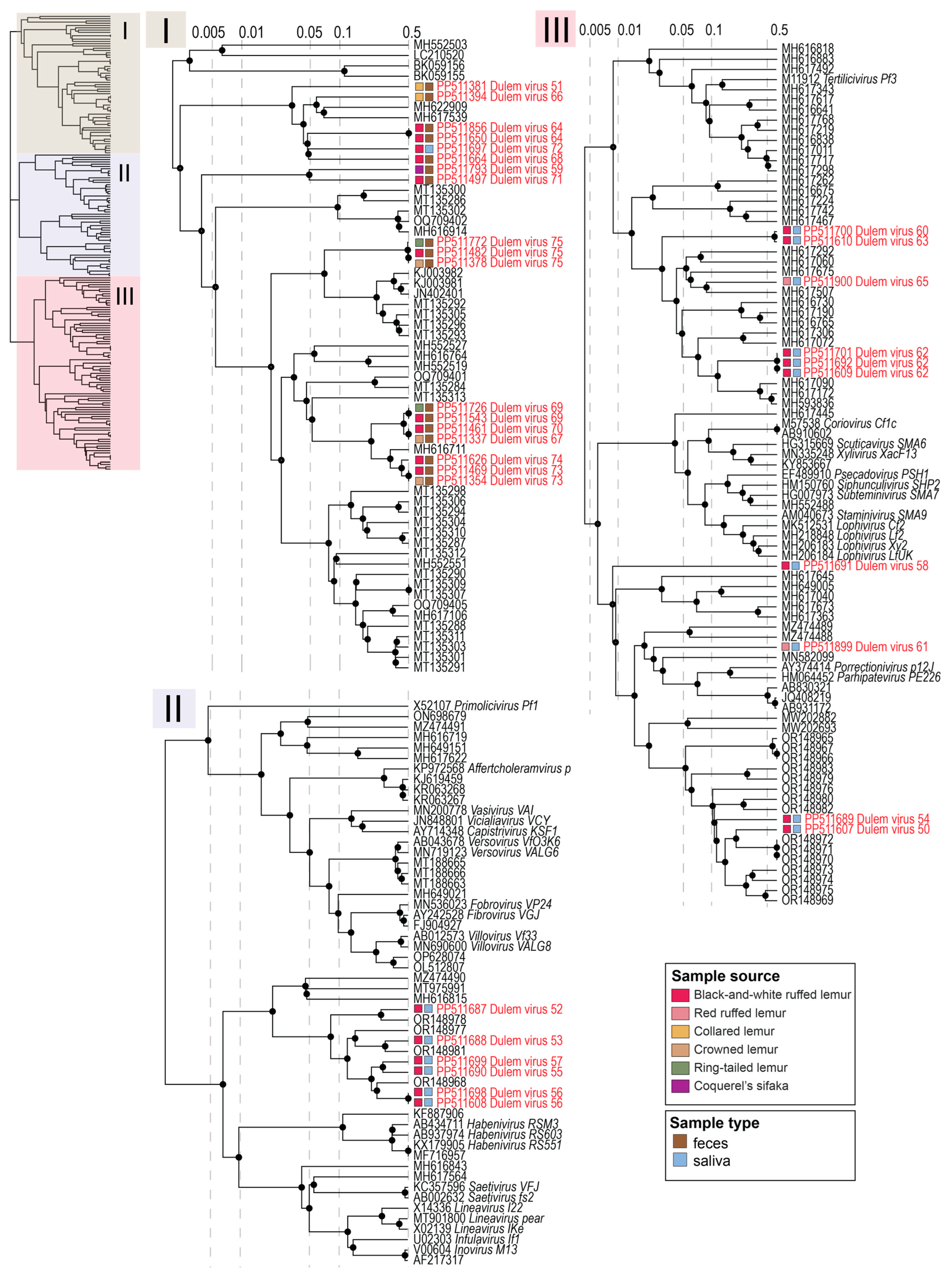 Viruses 16 01099 g016