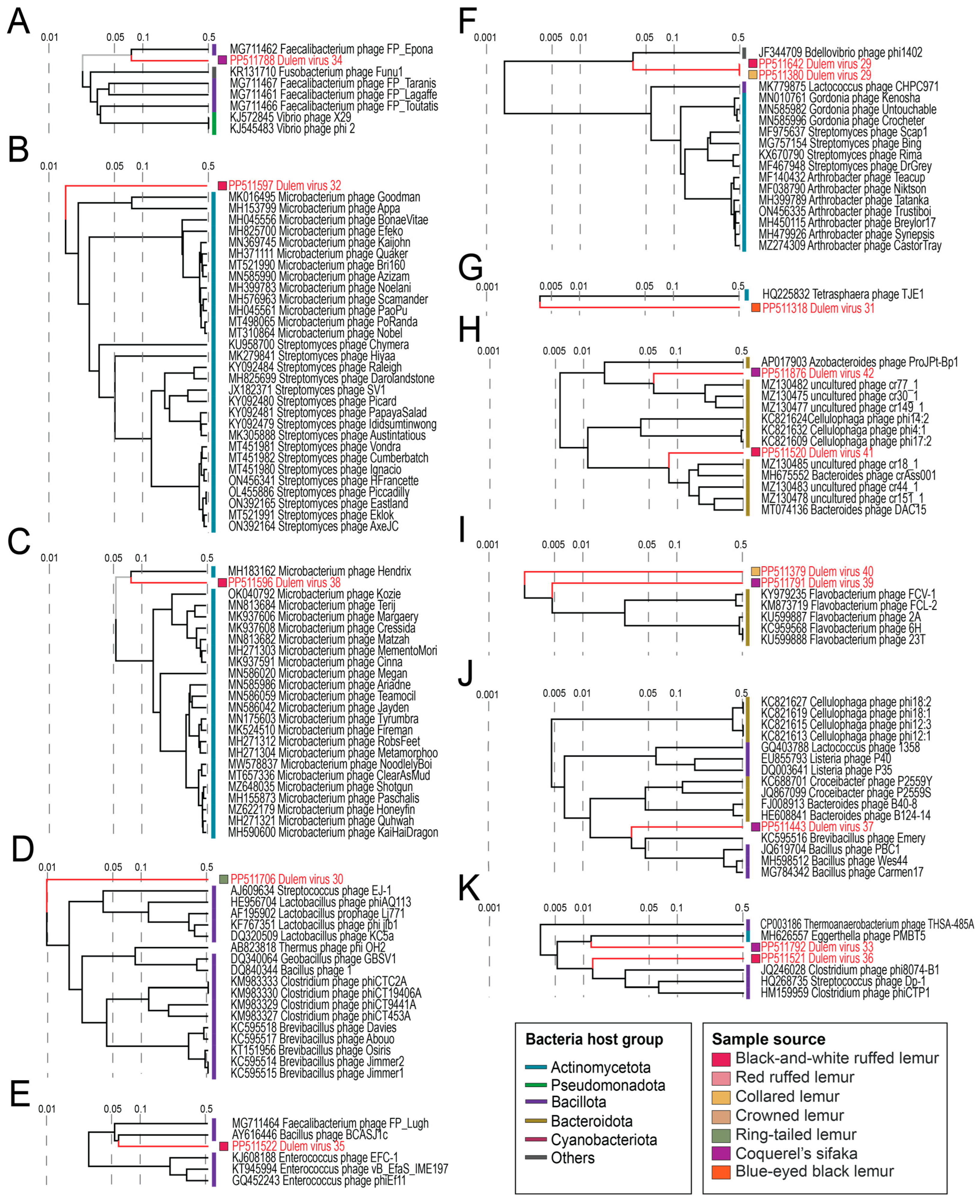 Viruses 16 01099 g018