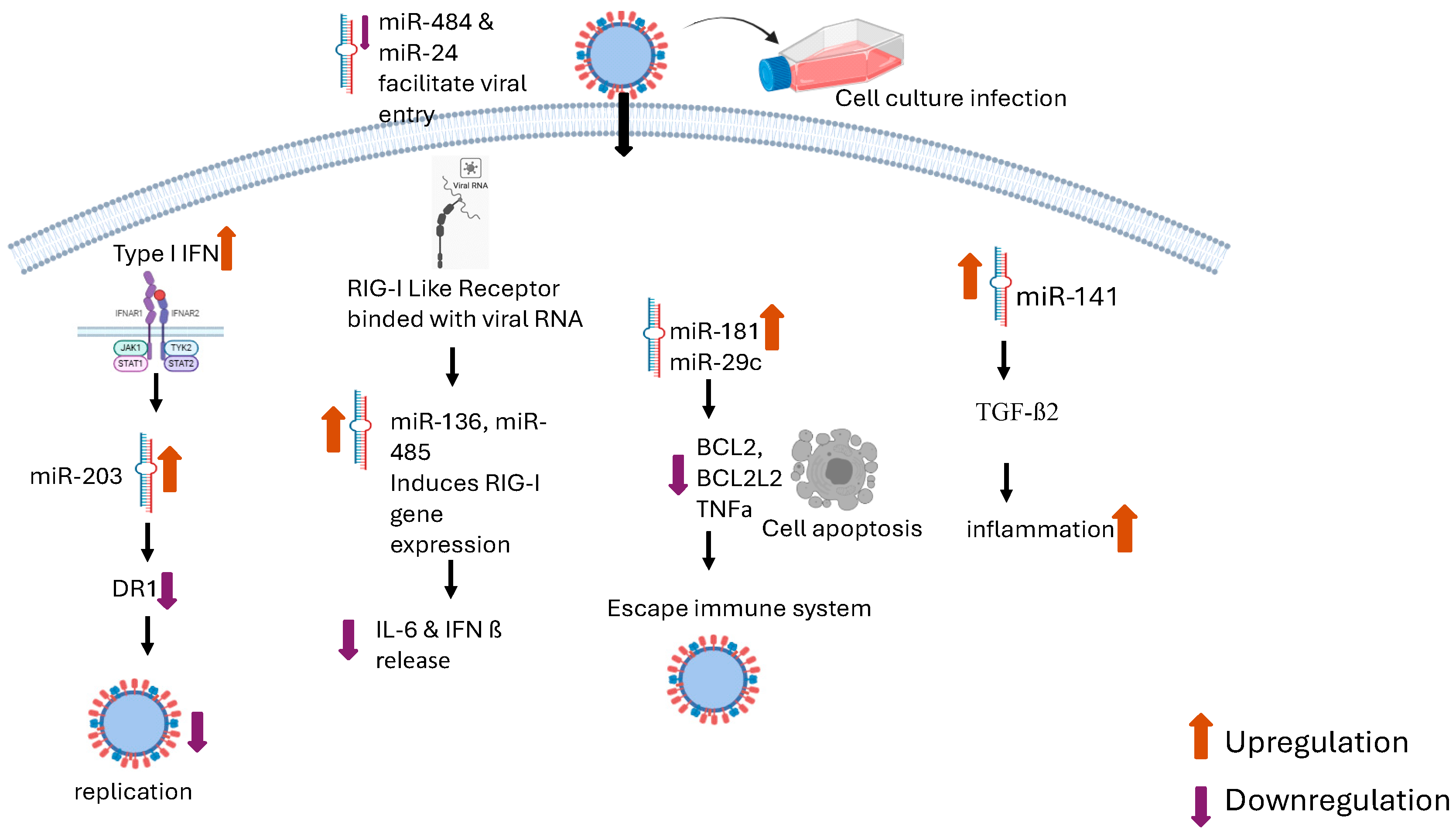 Viruses 16 01102 g001 Viruses 16 01102 g001