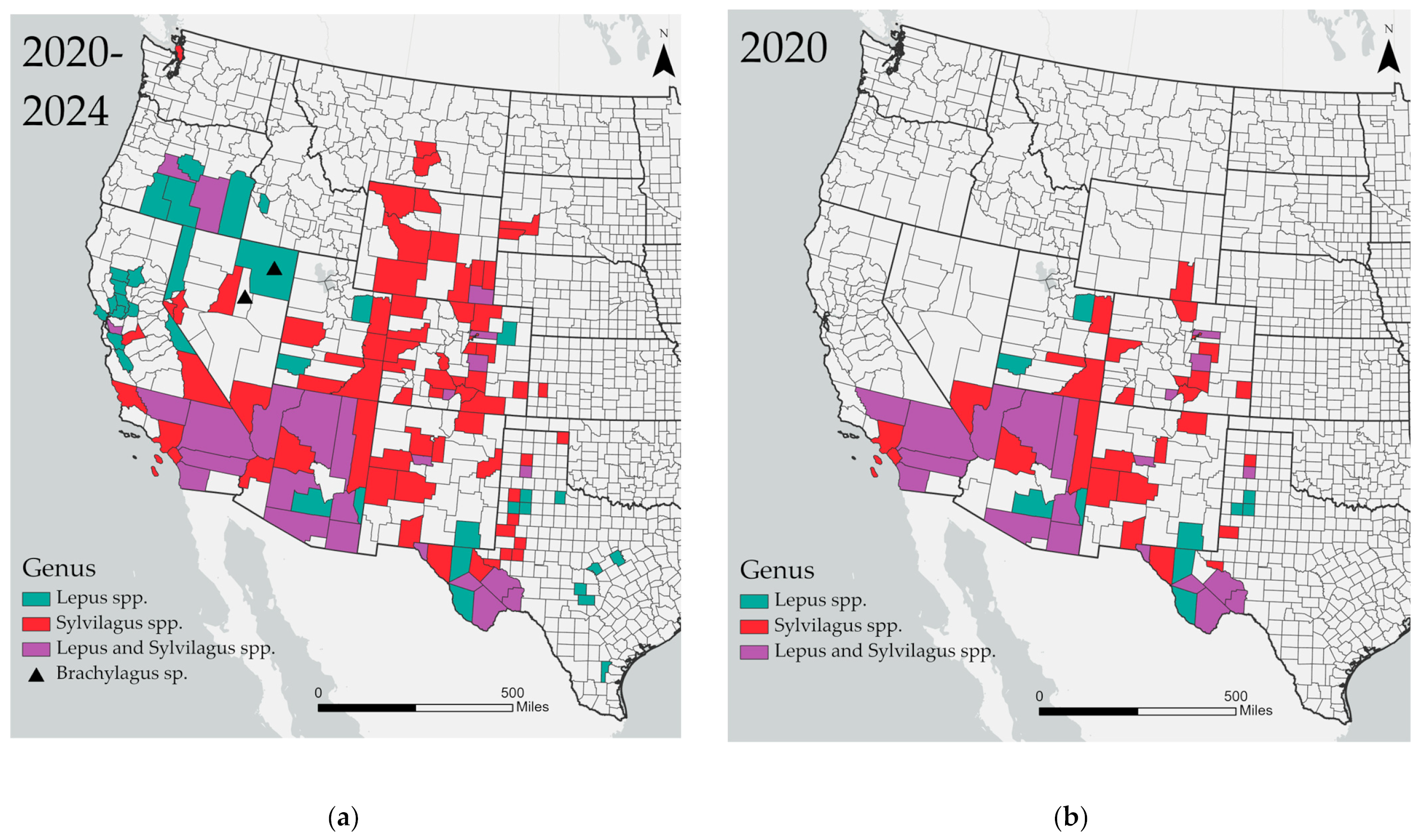 Viruses 16 01106 g001a
