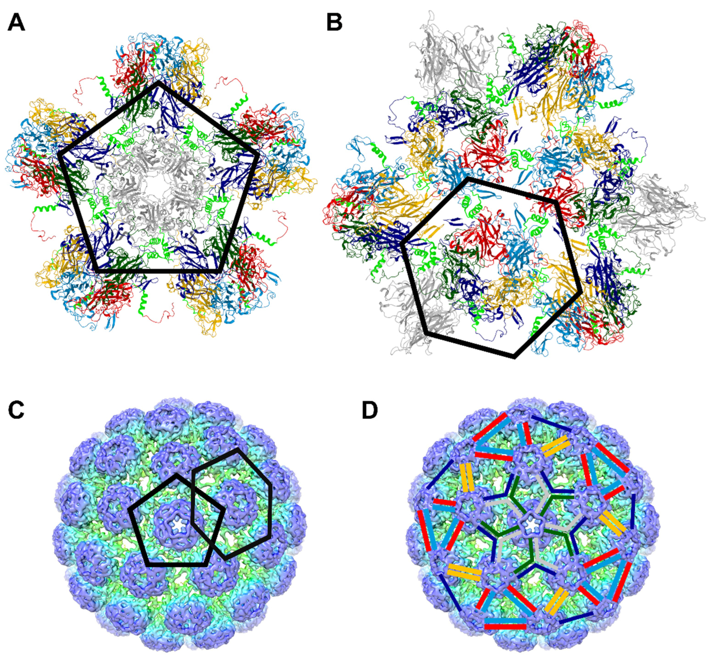 Viruses 16 01124 g004