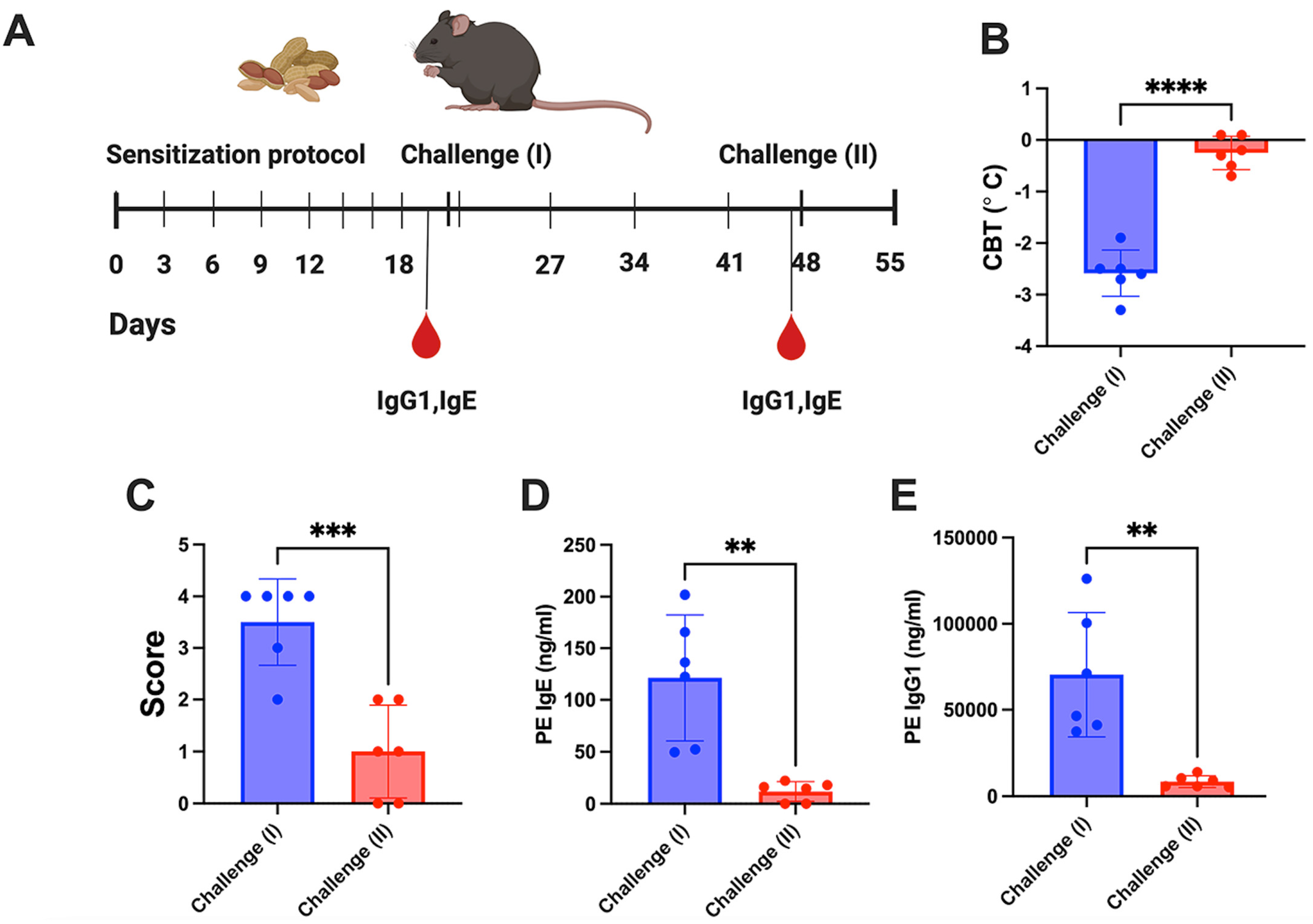 Viruses 16 01125 g002
