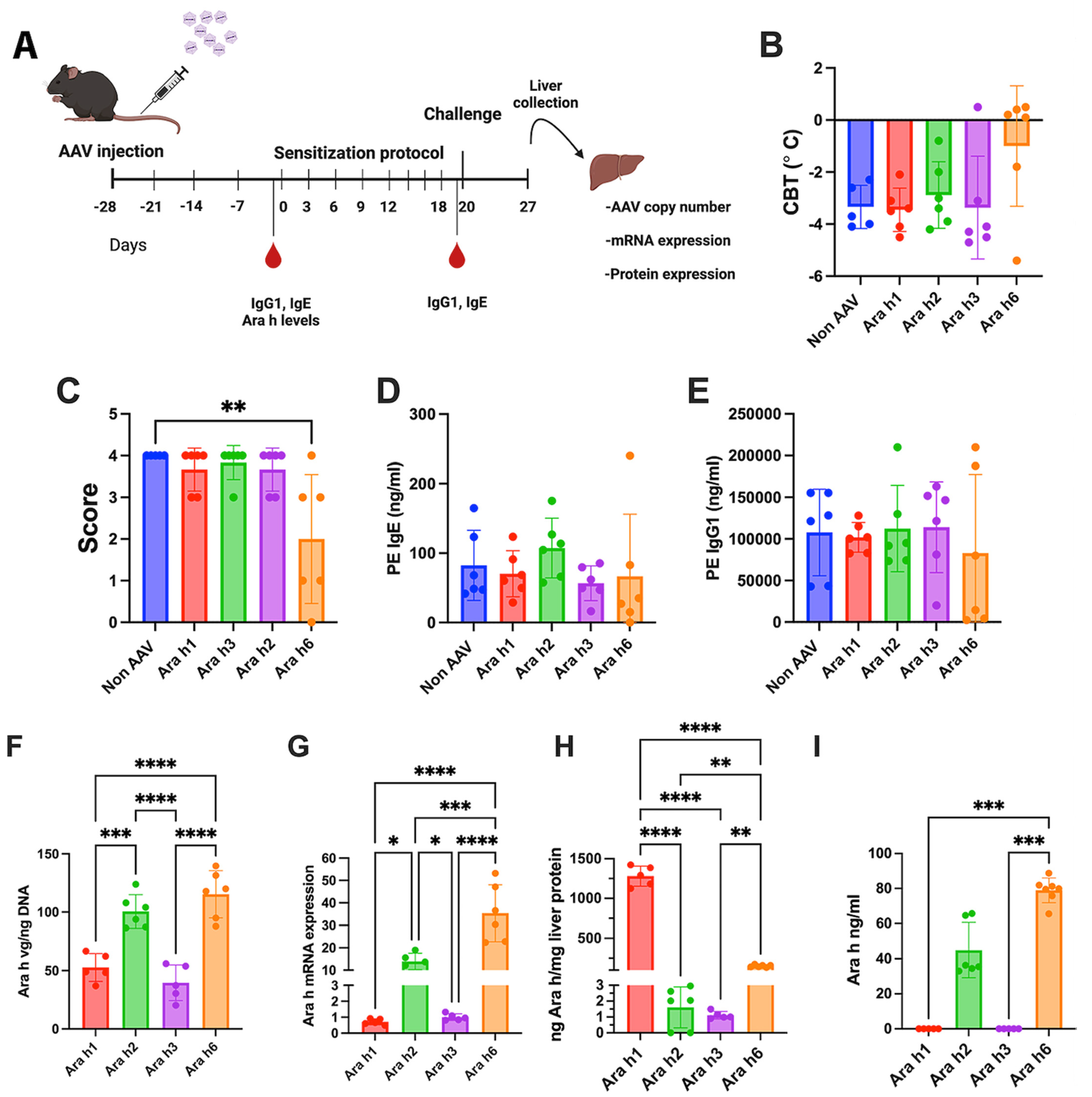 Viruses 16 01125 g004