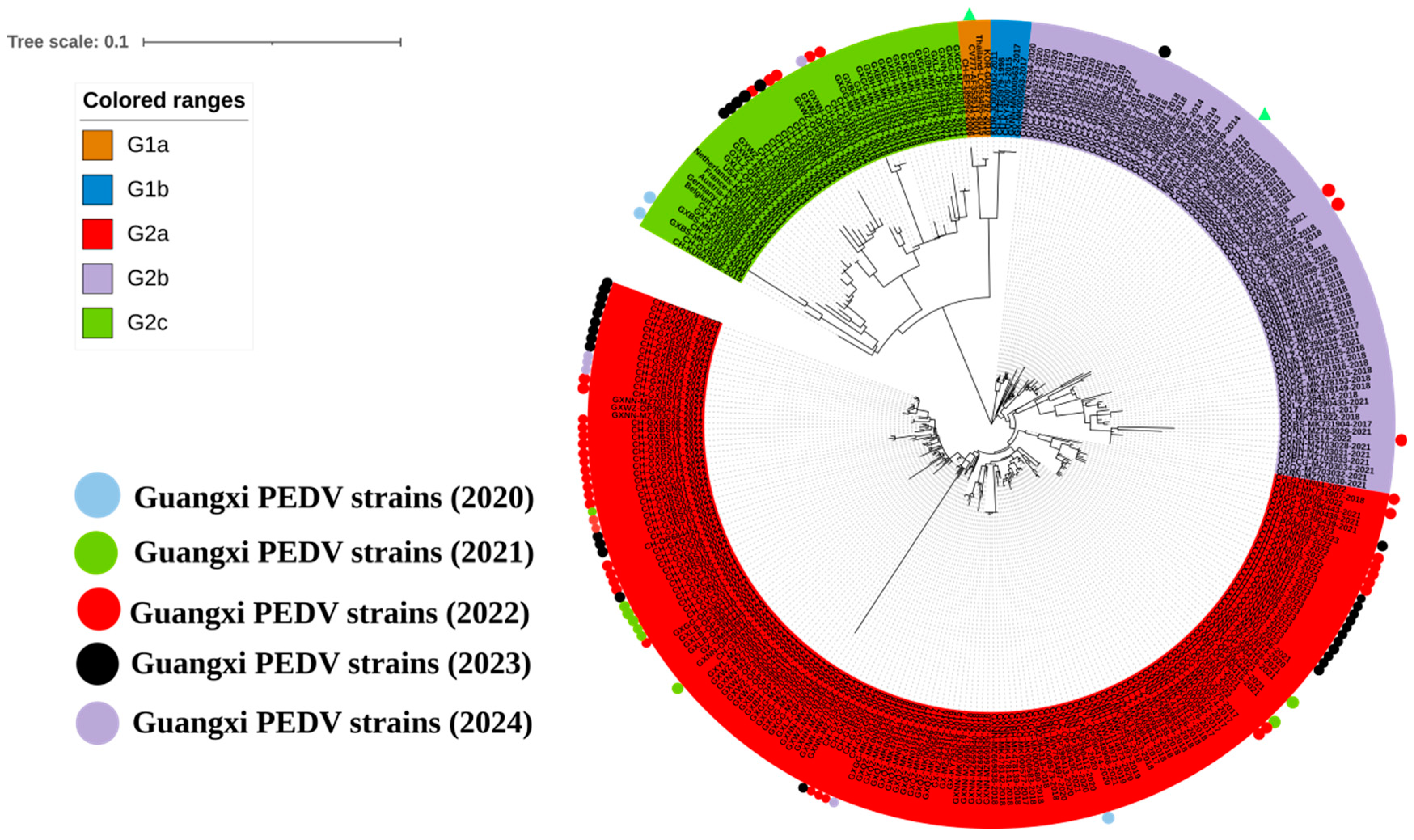 Viruses 16 01126 g003