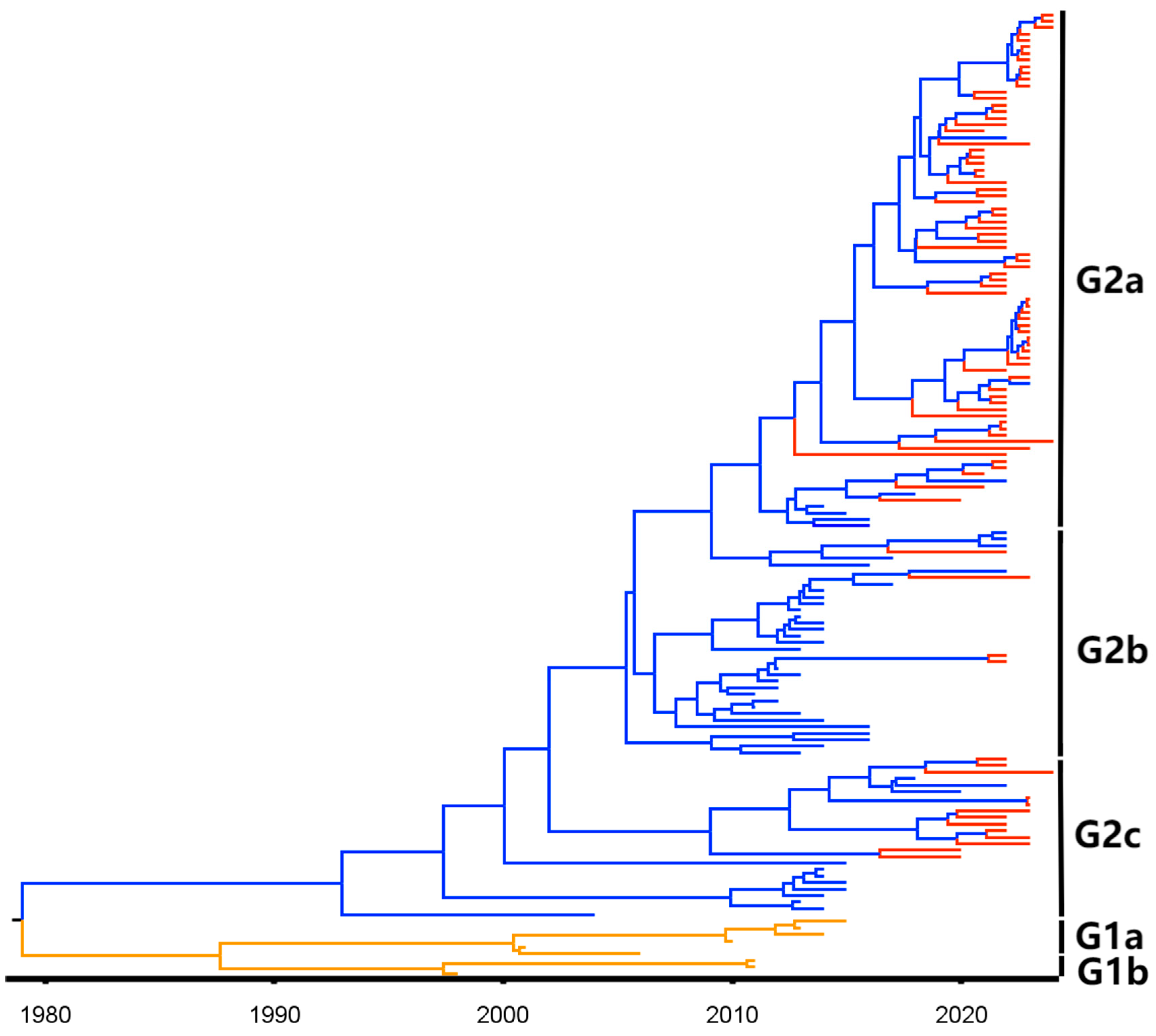 Viruses 16 01126 g006