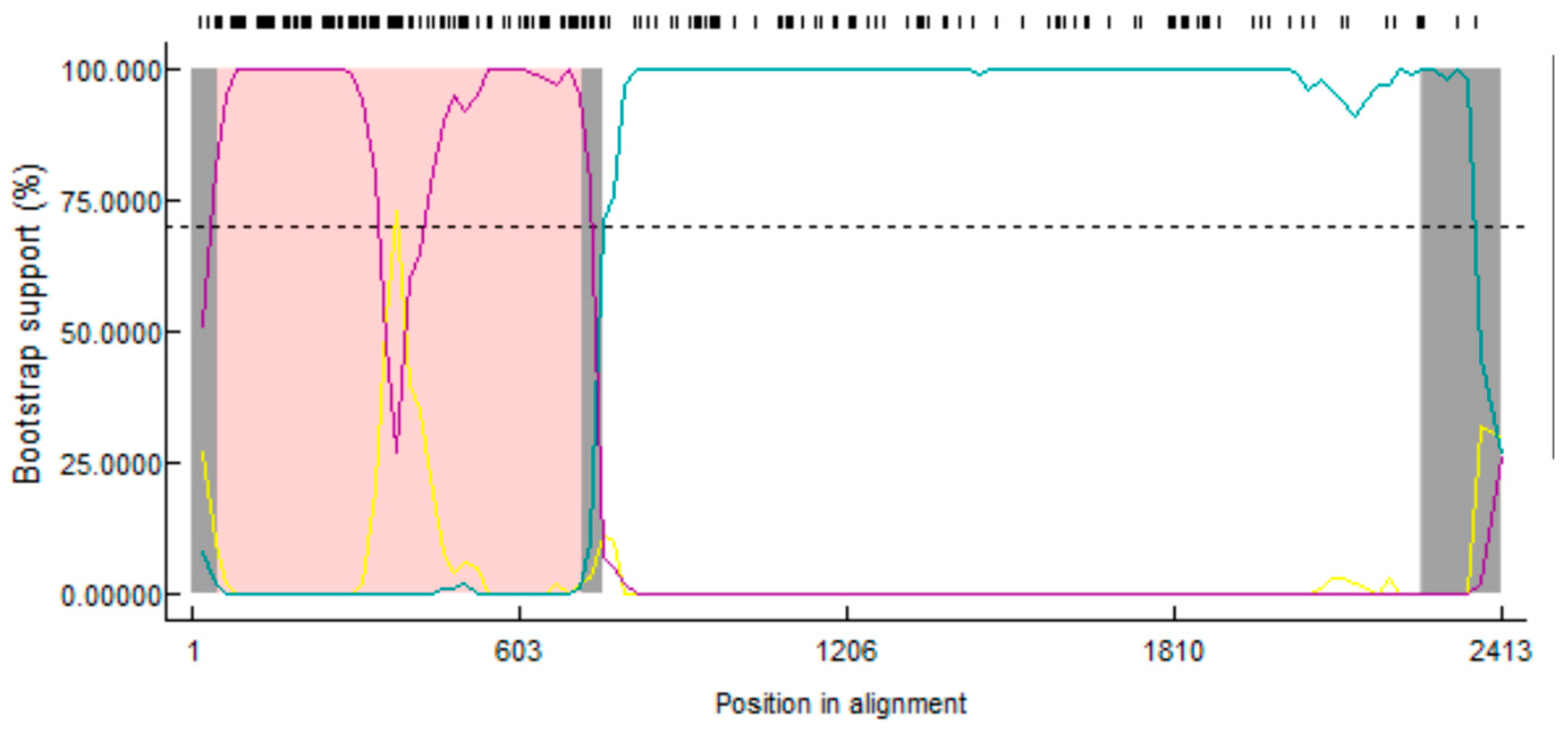 Viruses 16 01126 g008