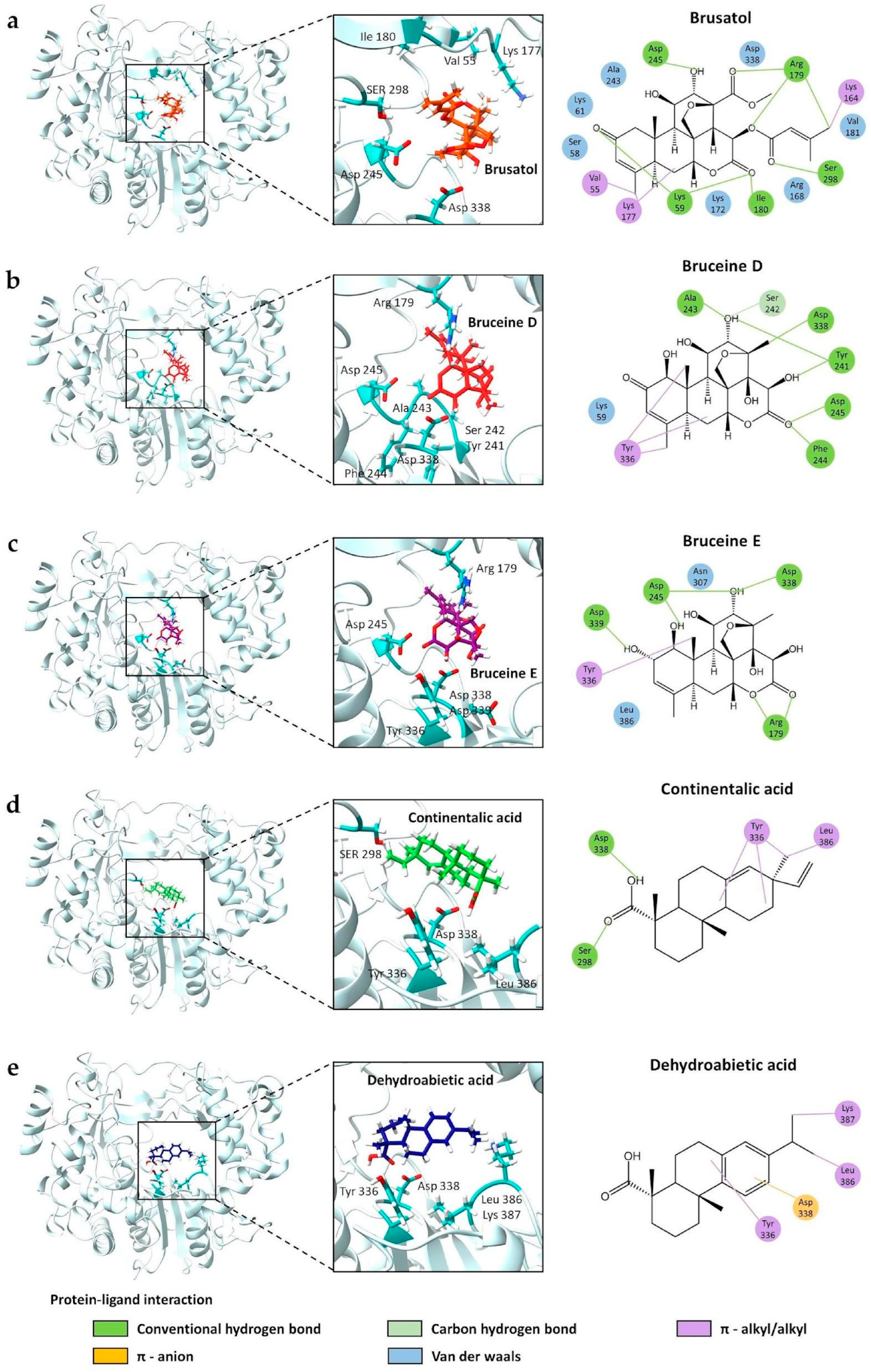 Viruses 16 01128 g005