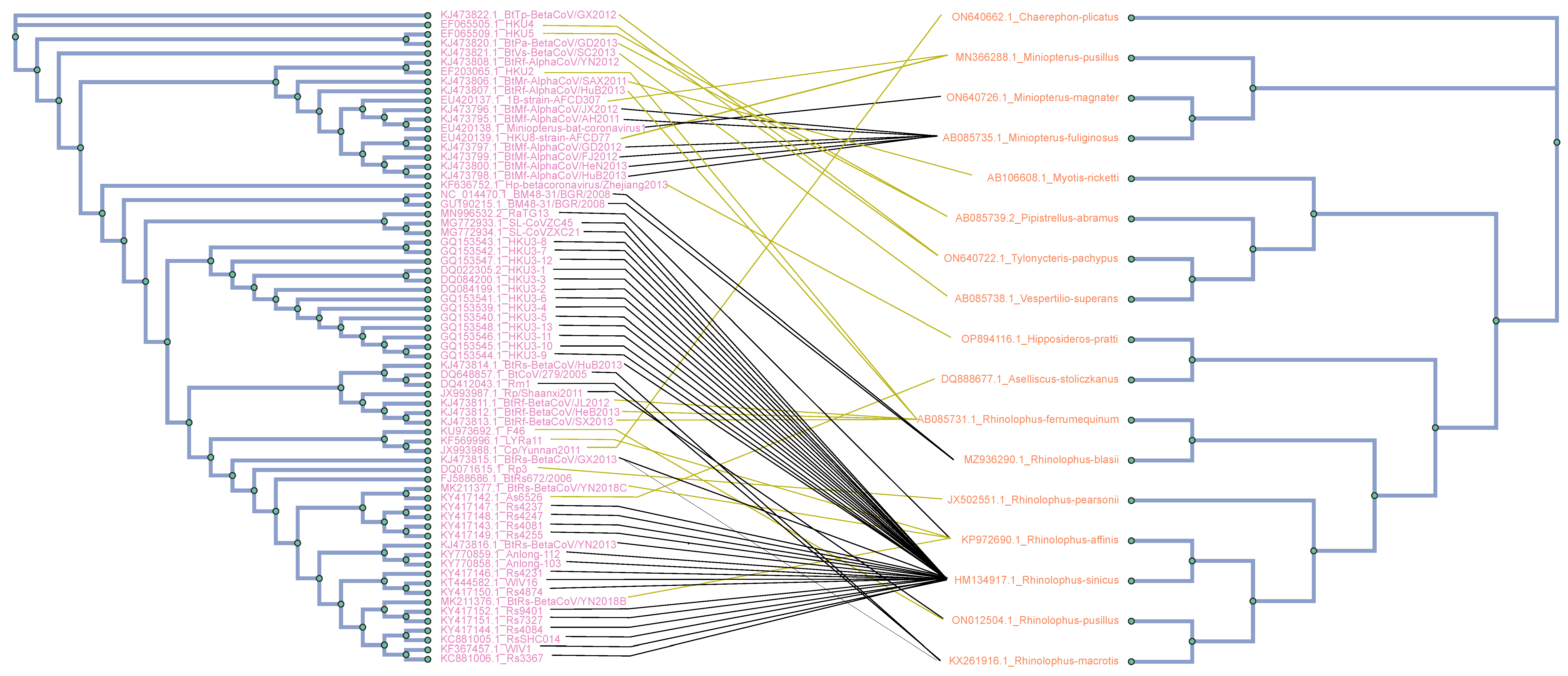 Viruses 16 01133 g001