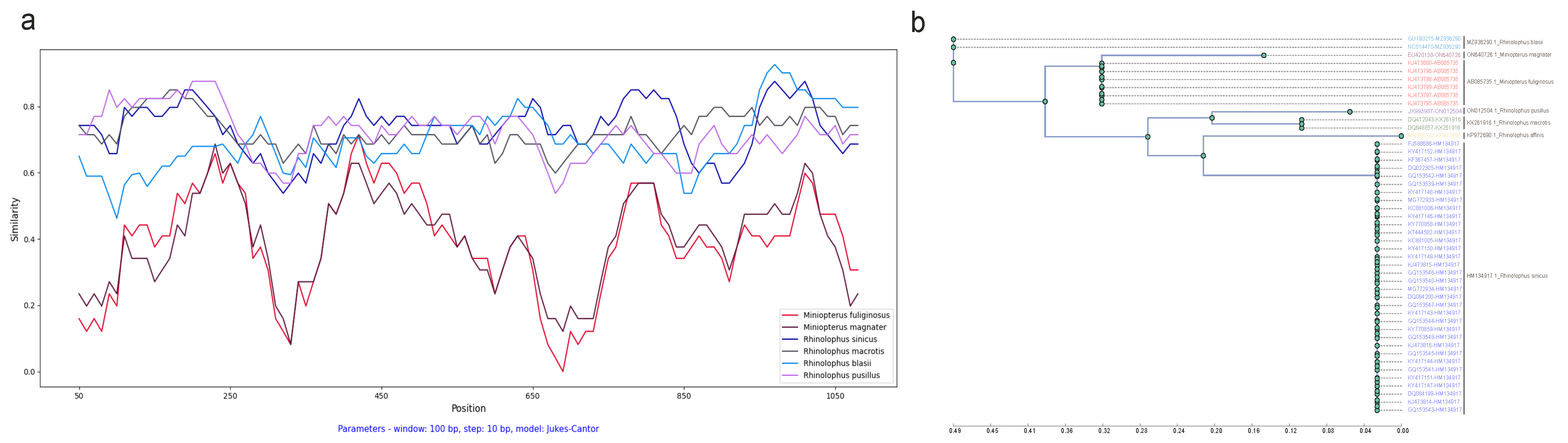 Viruses 16 01133 g002