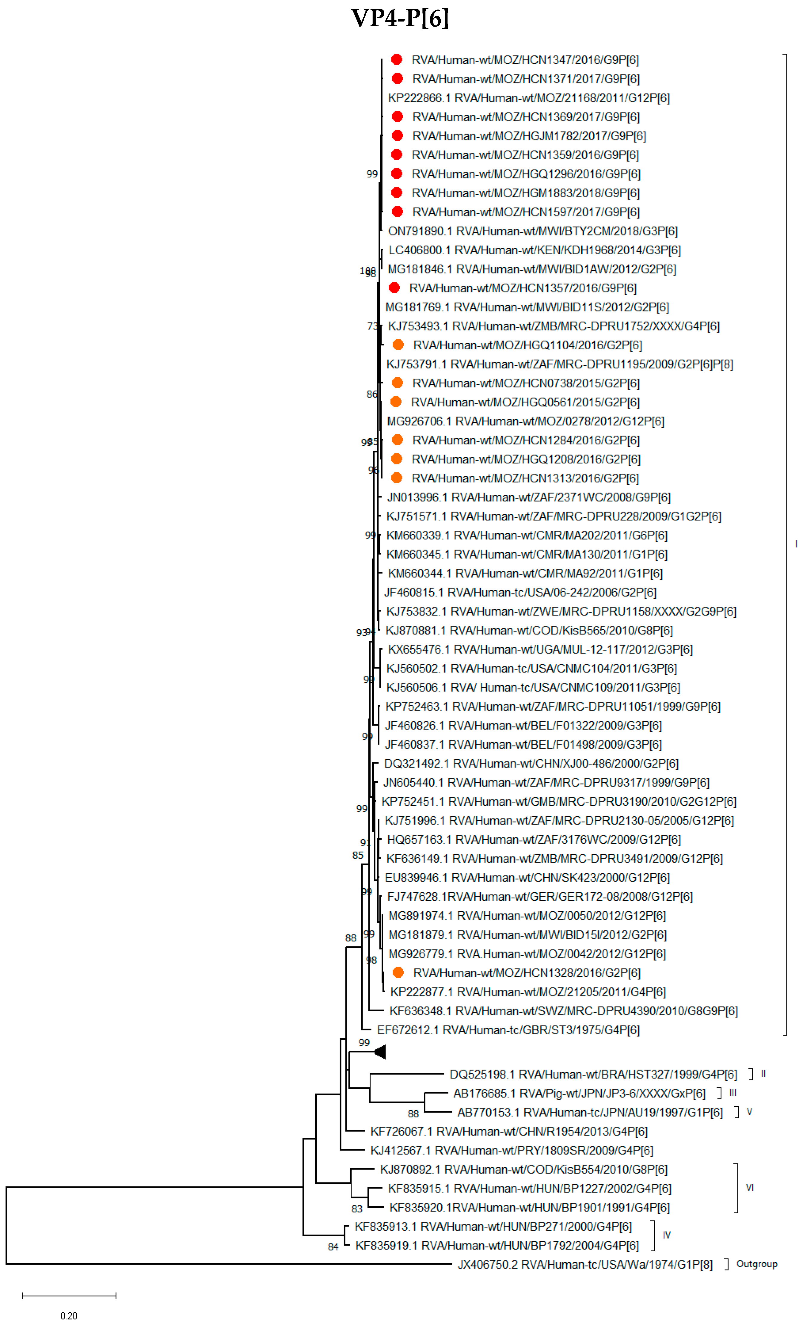 Viruses 16 01140 g003