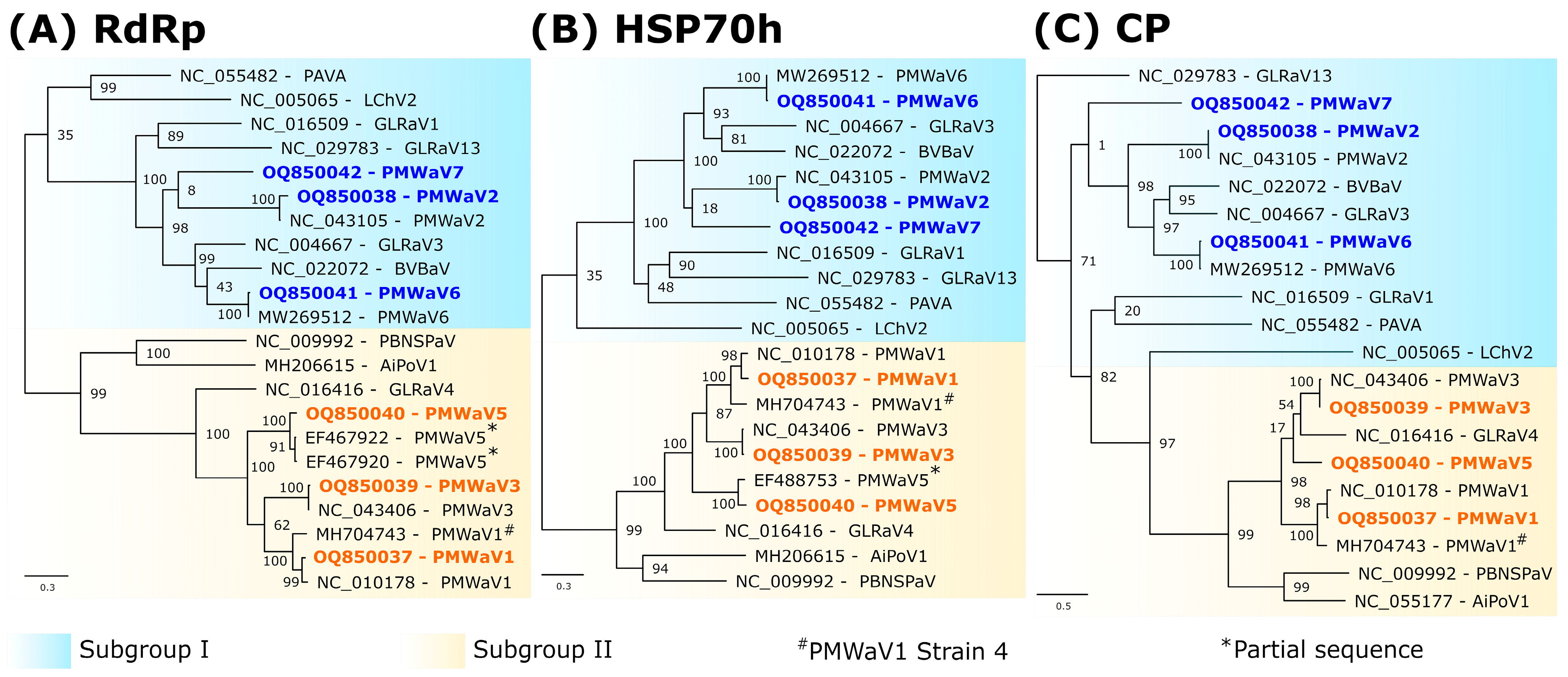 Viruses 16 01146 g002