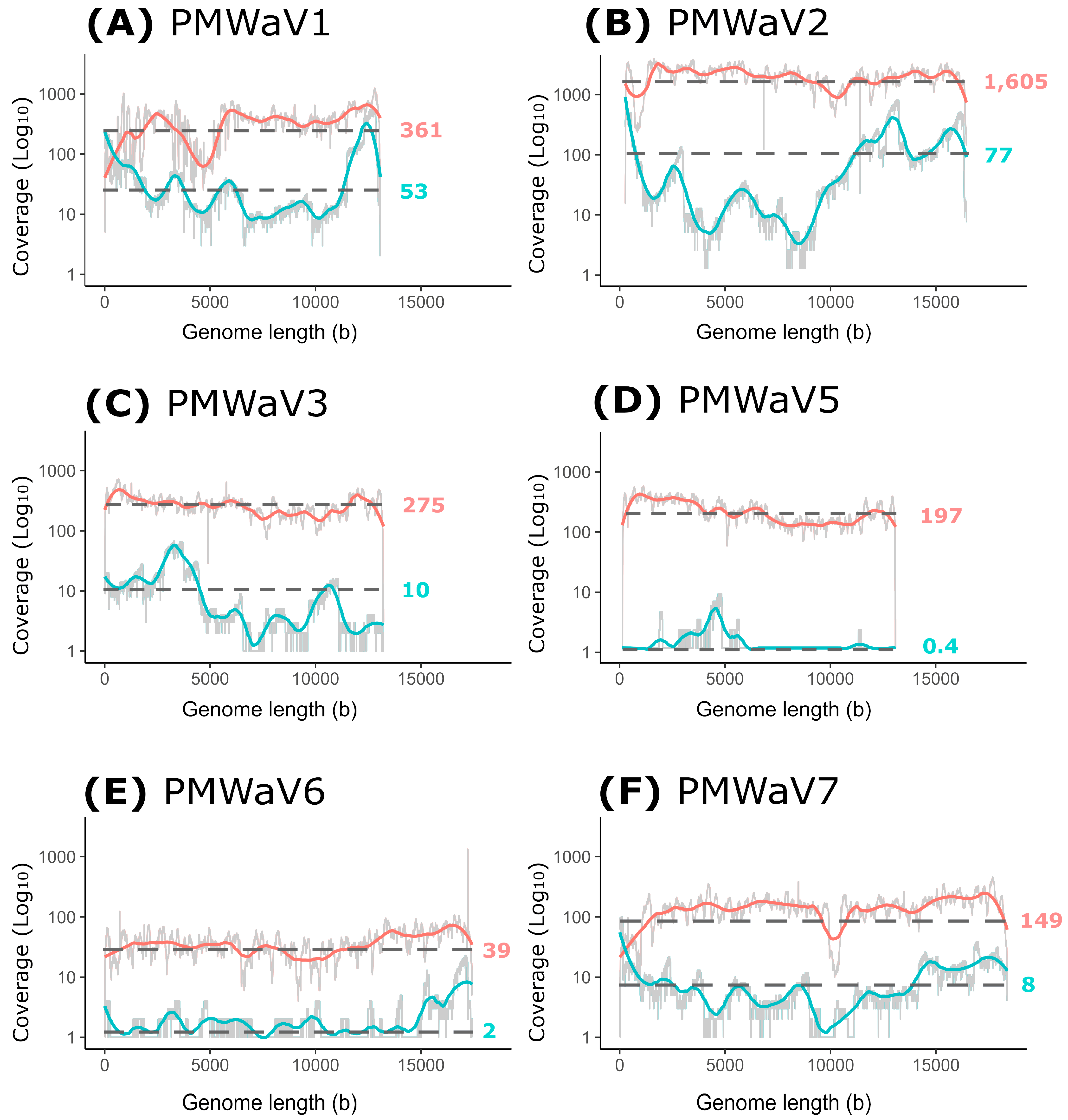 Viruses 16 01146 g004