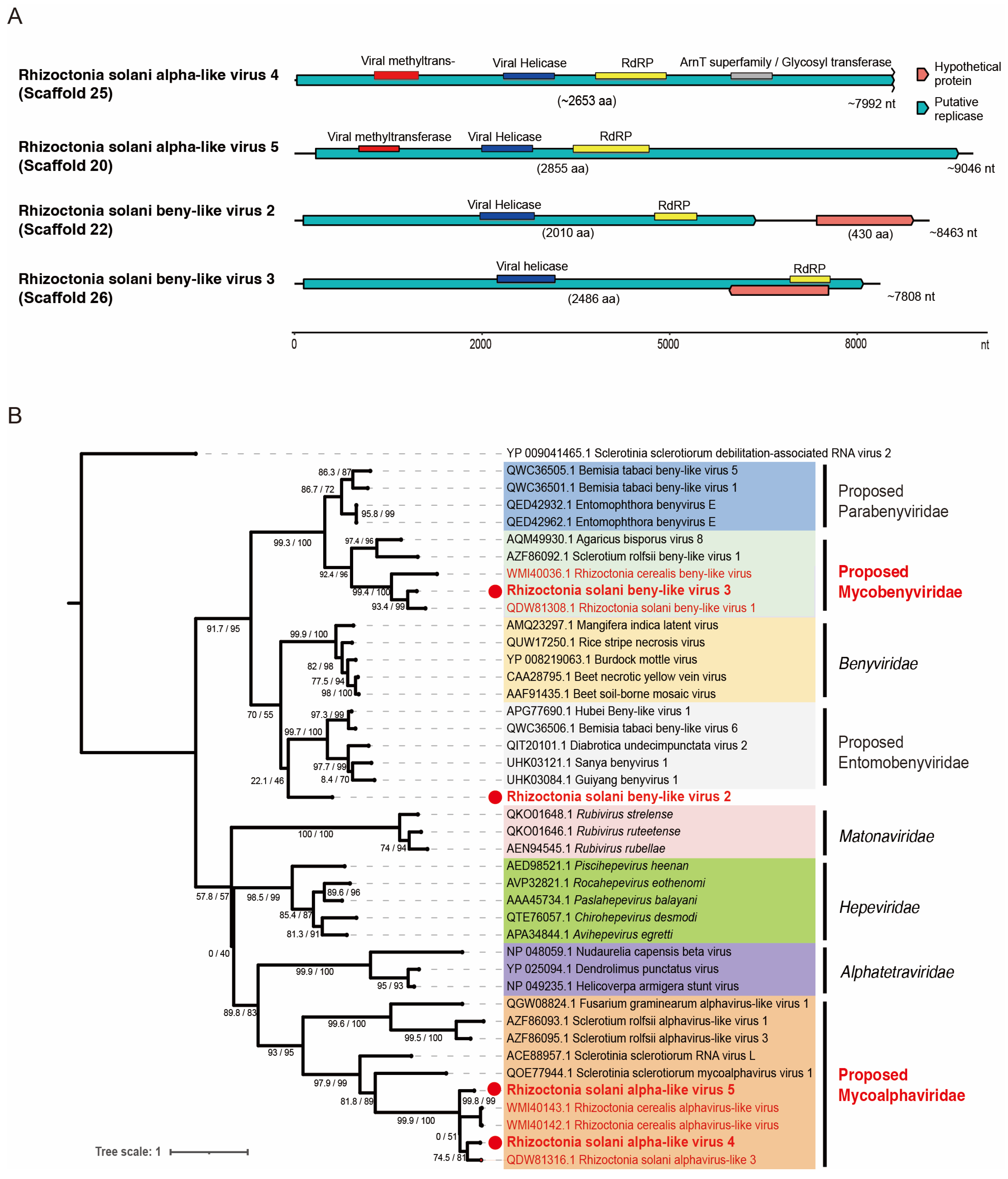 Viruses 16 01152 g003