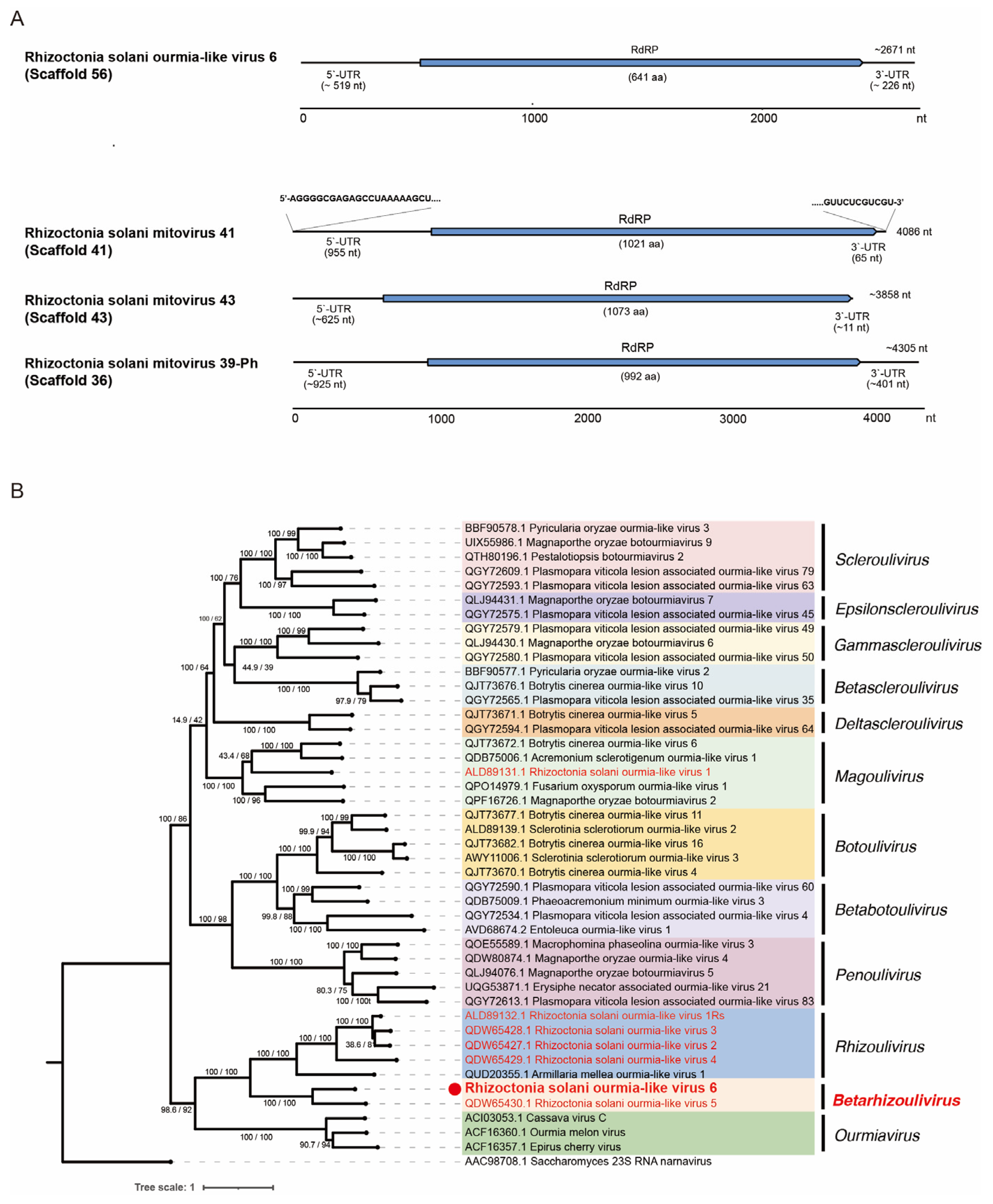 Viruses 16 01152 g007a