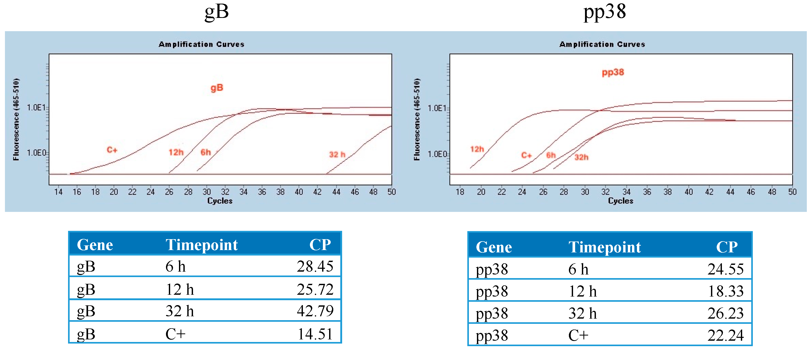 Viruses 16 01156 g001