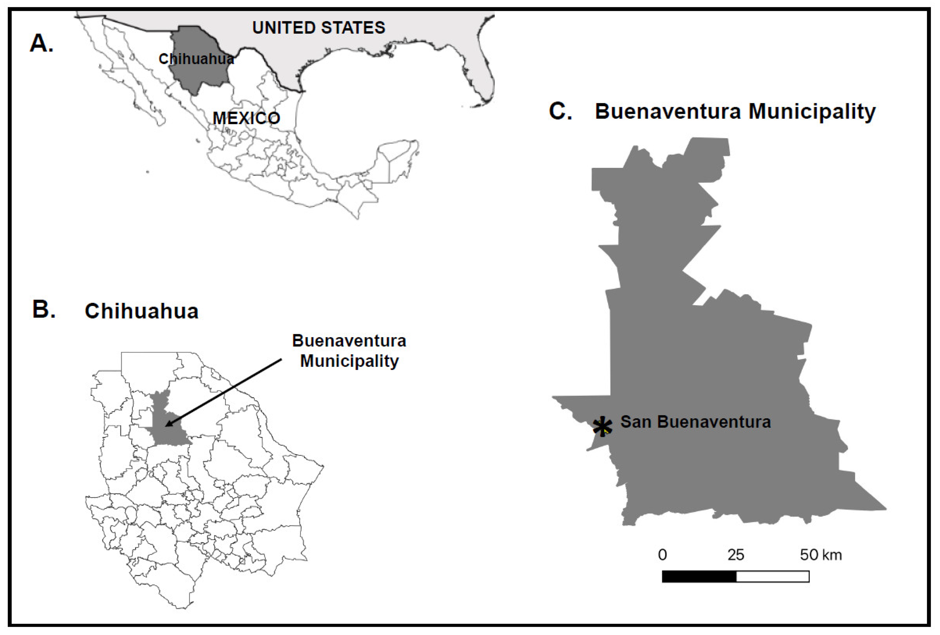 Viruses 16 01160 g001 Viruses 16 01160 g001