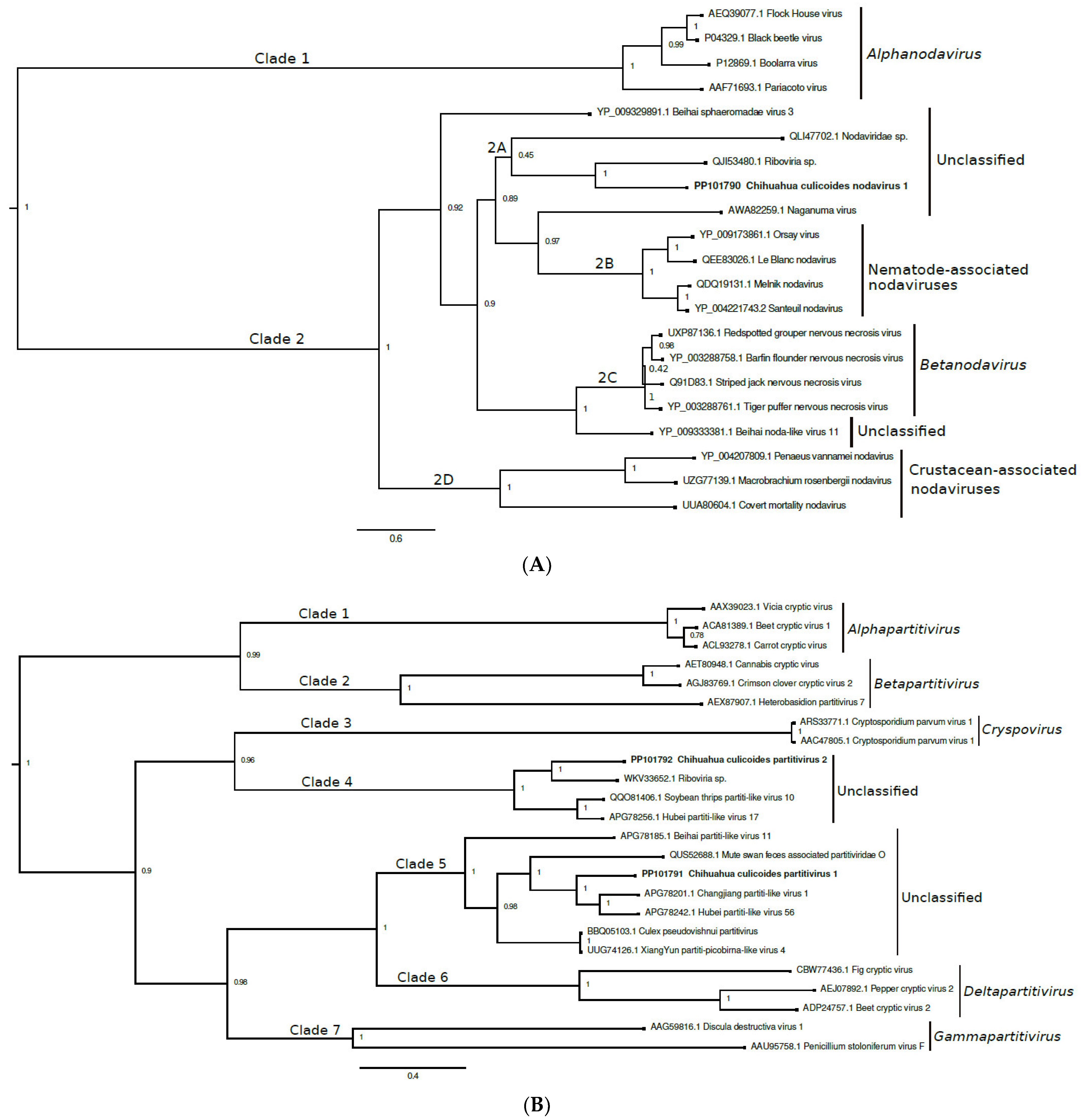 Viruses 16 01160 g002a Viruses 16 01160 g002a