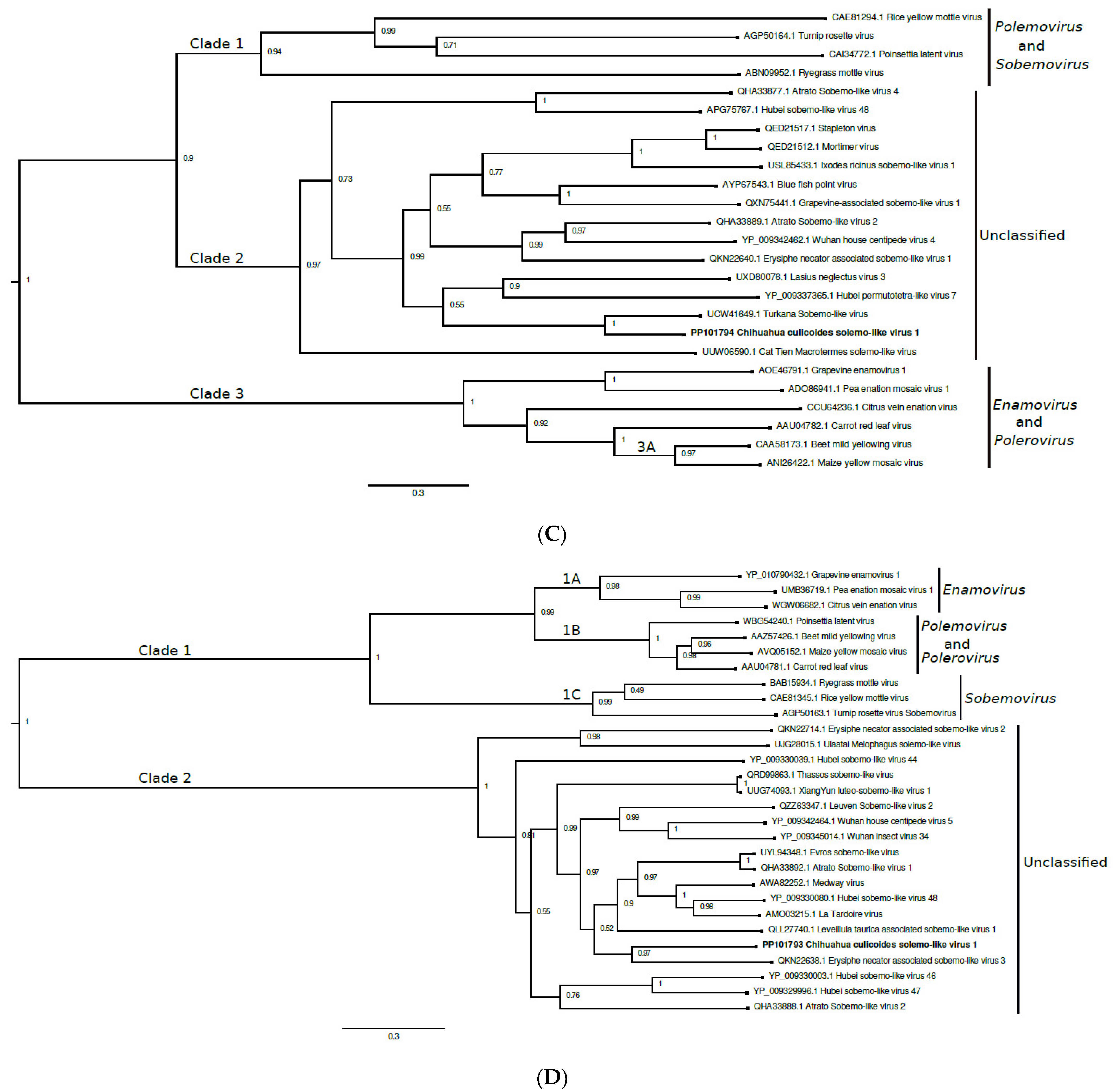 Viruses 16 01160 g002b Viruses 16 01160 g002b