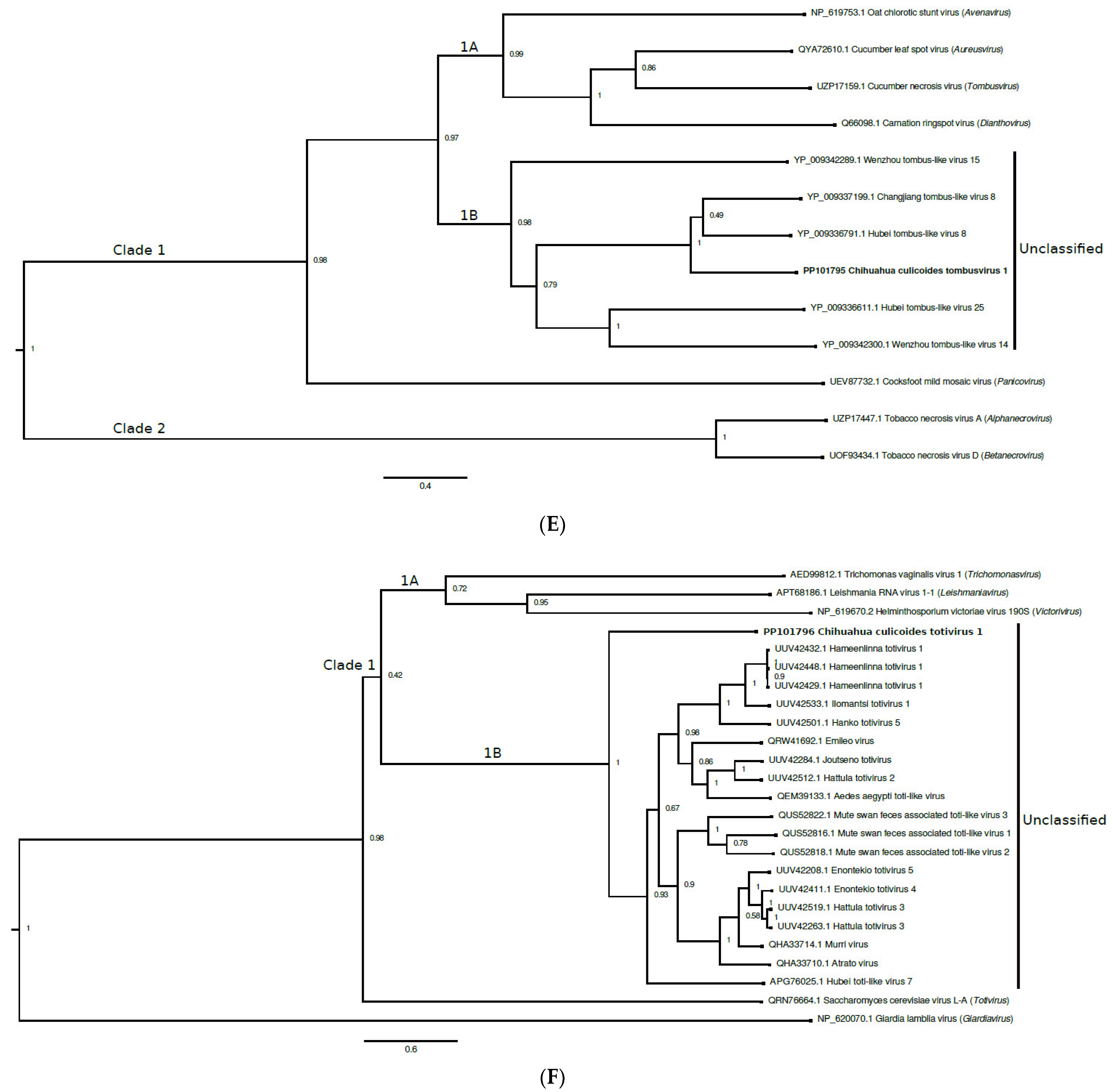 Viruses 16 01160 g002c Viruses 16 01160 g002c