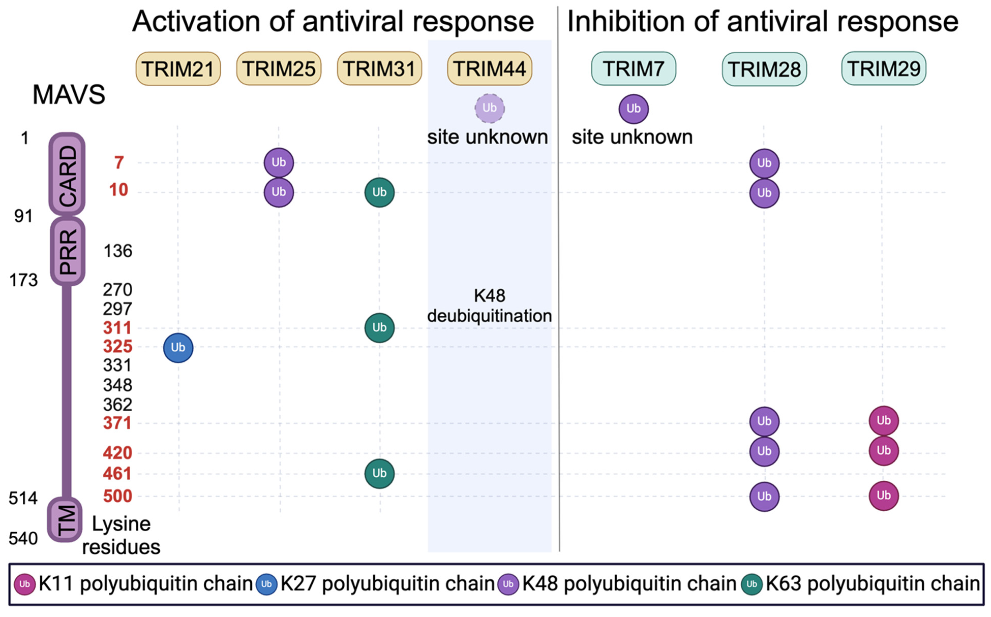 Viruses 16 01161 g002