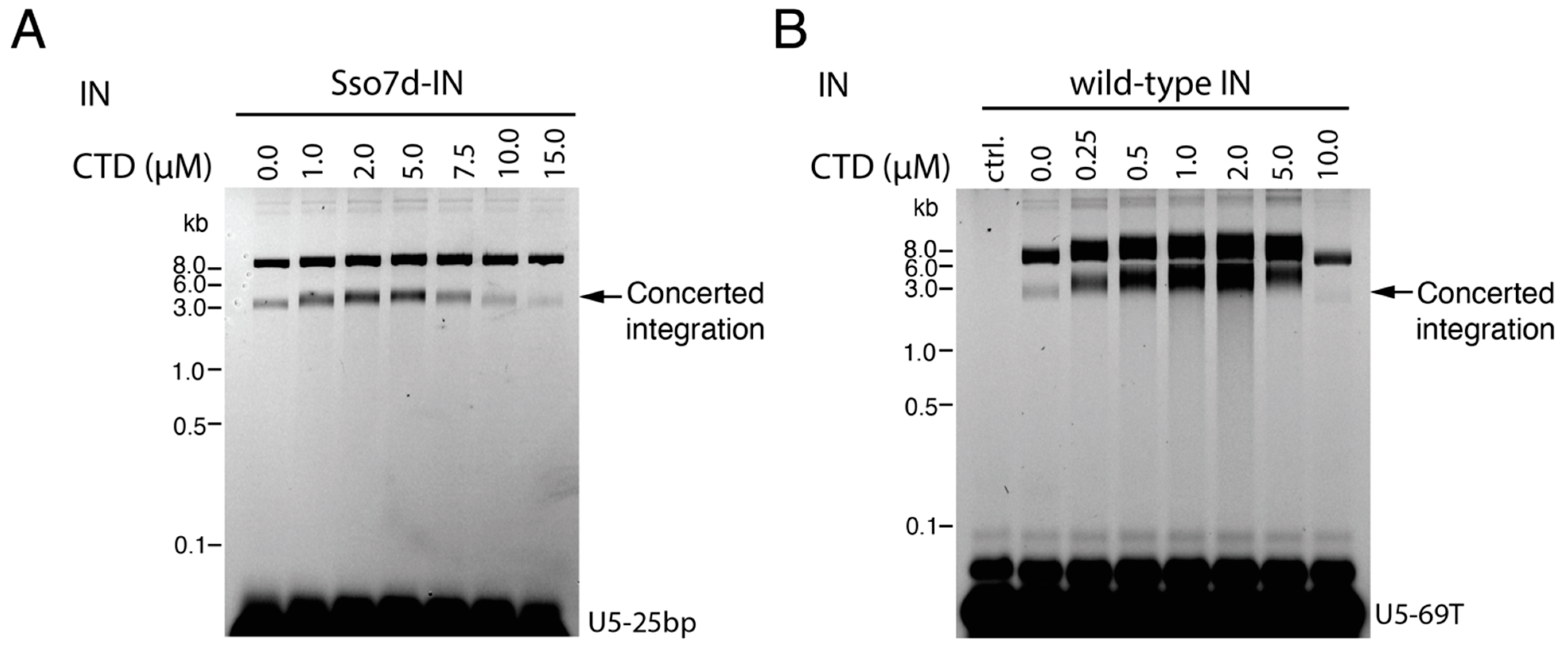 Viruses 16 01166 g002