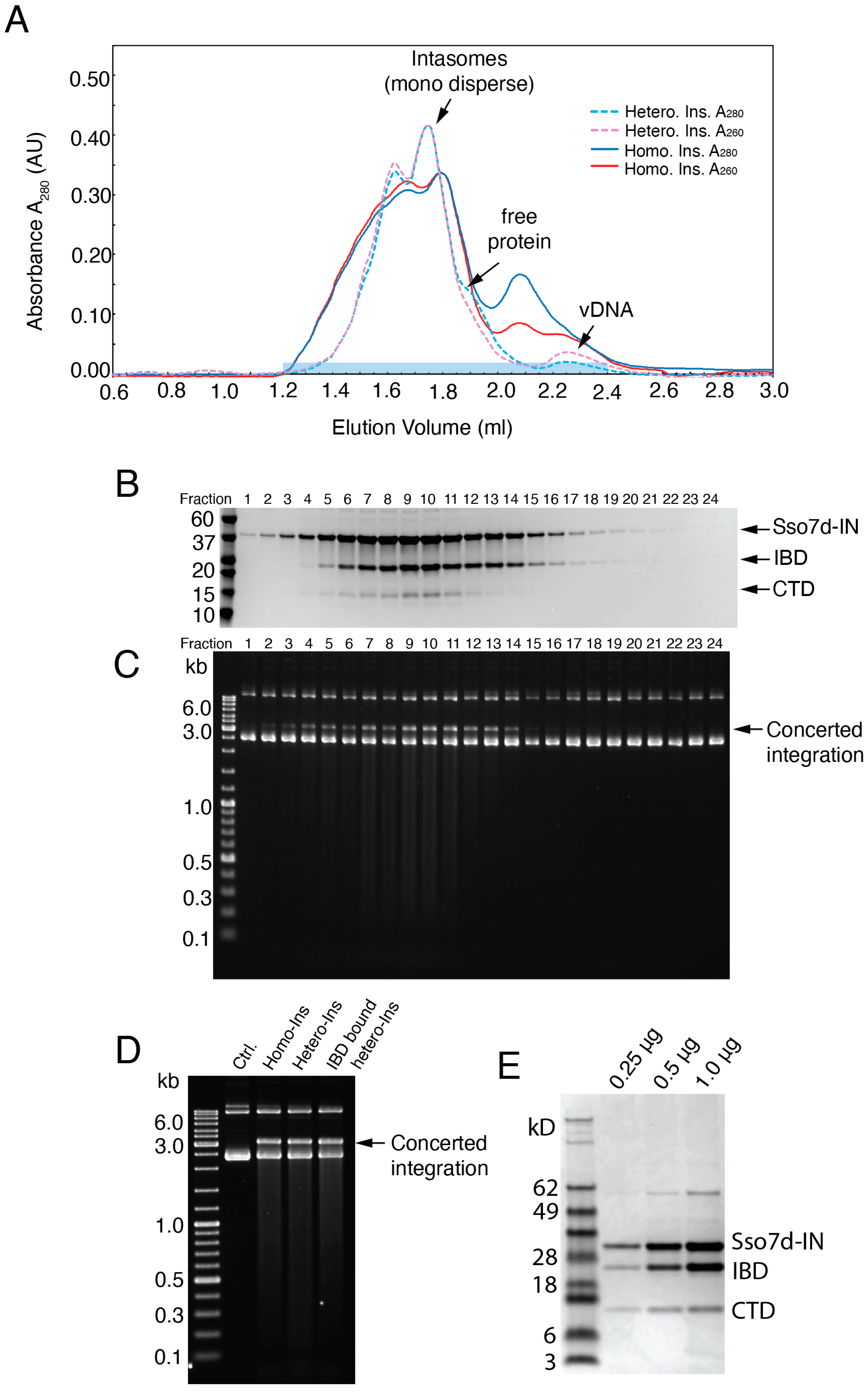Viruses 16 01166 g003