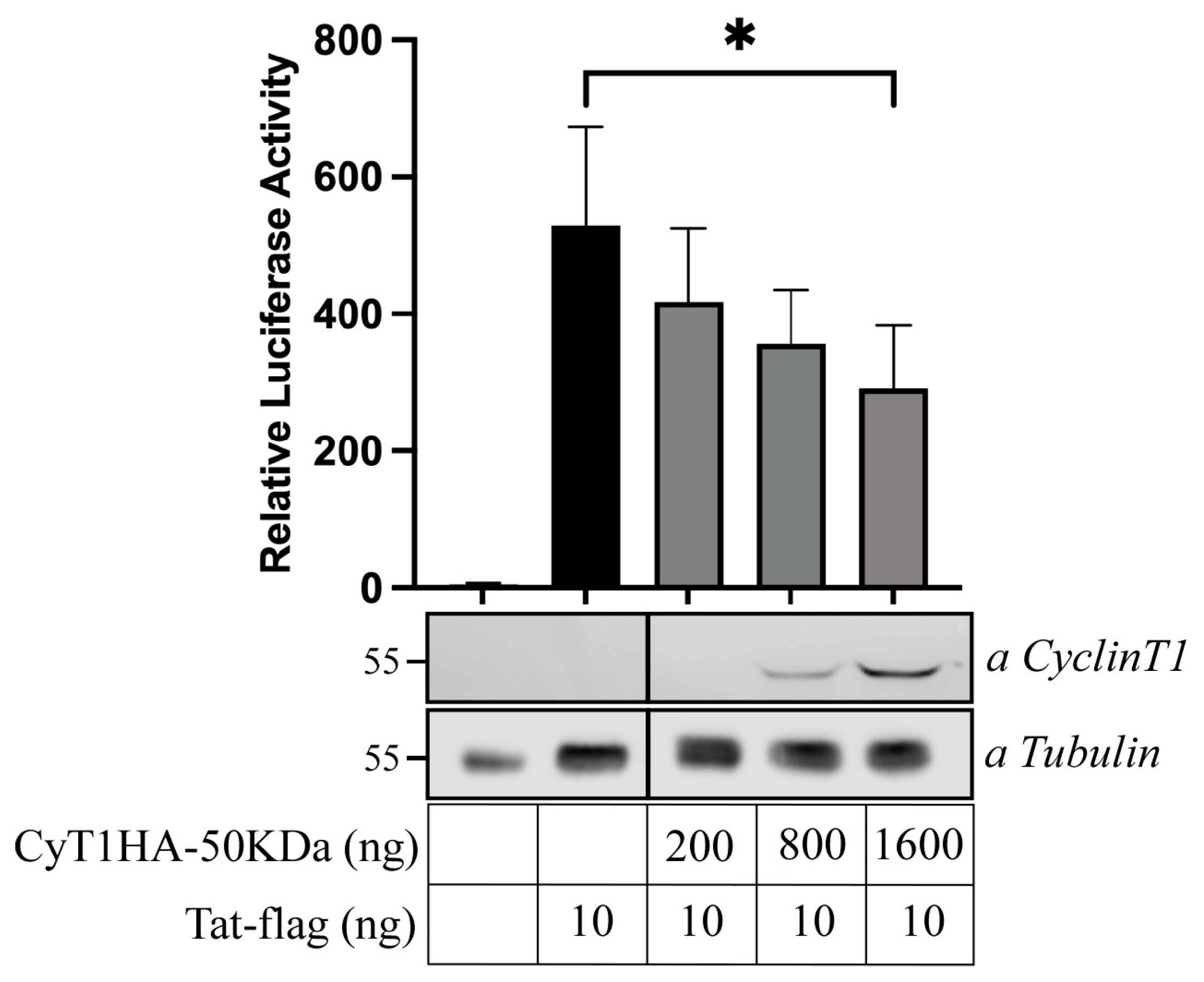 Viruses 16 01176 g007