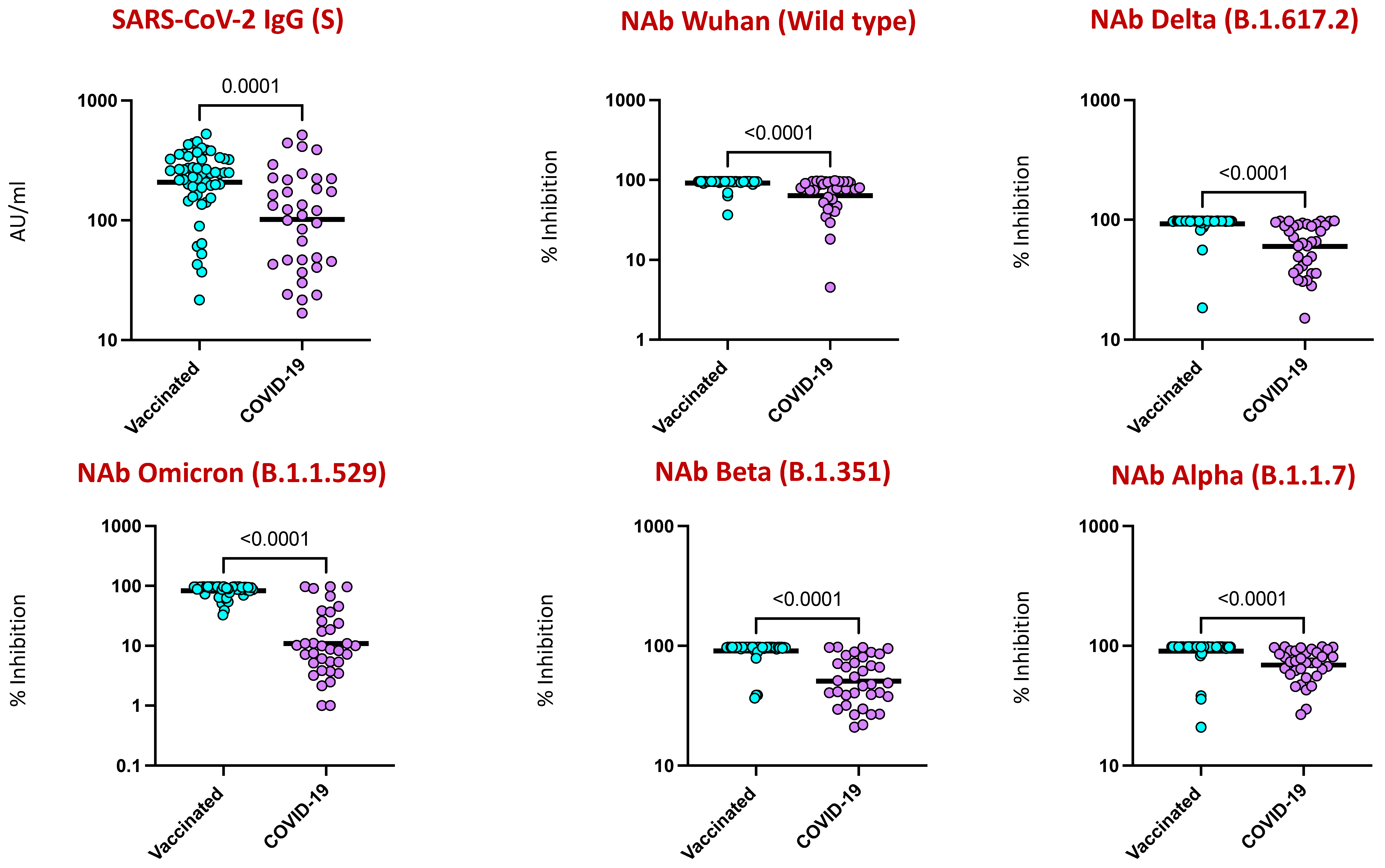 Viruses 16 01178 g002