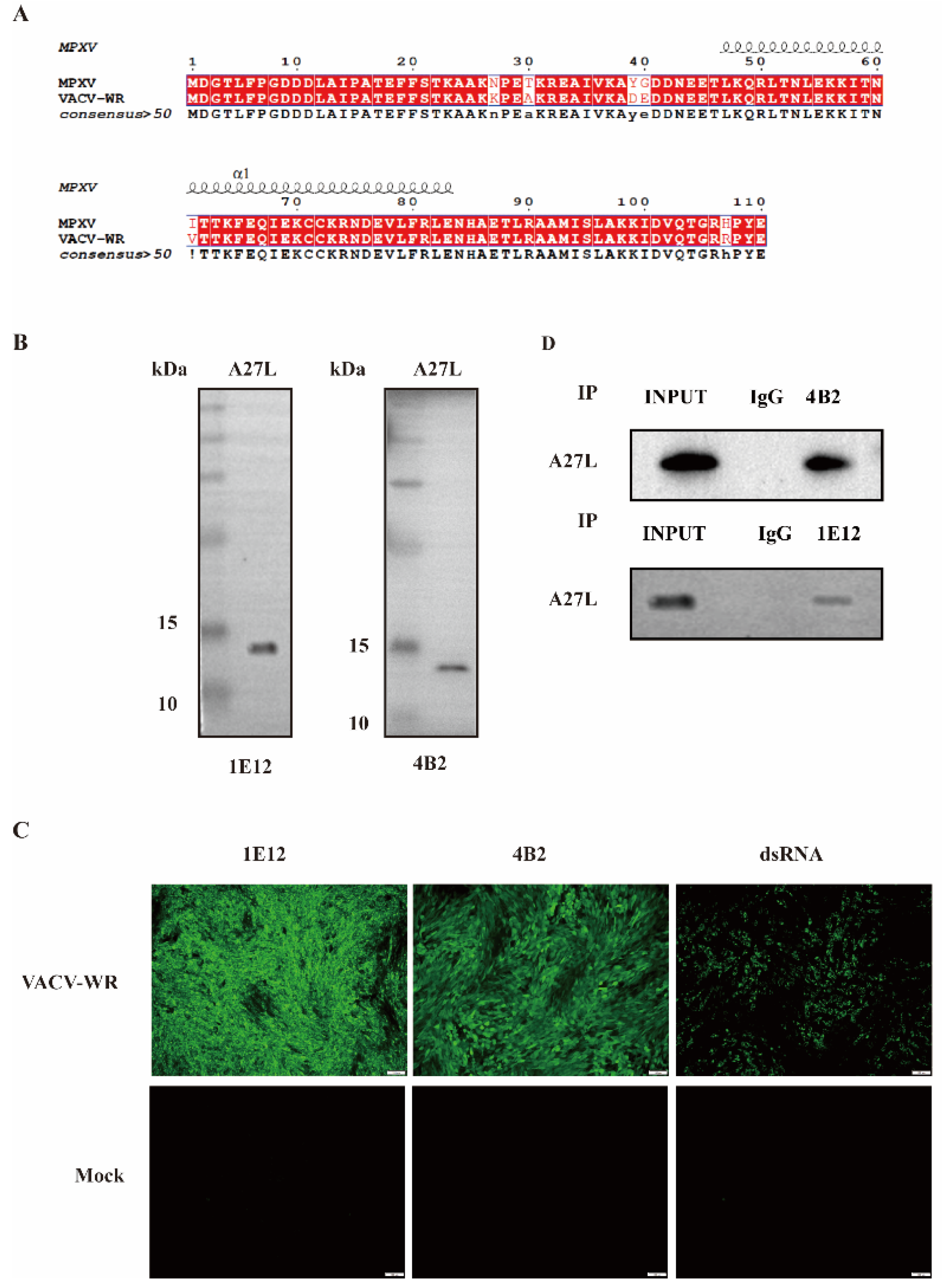 Viruses 16 01184 g003