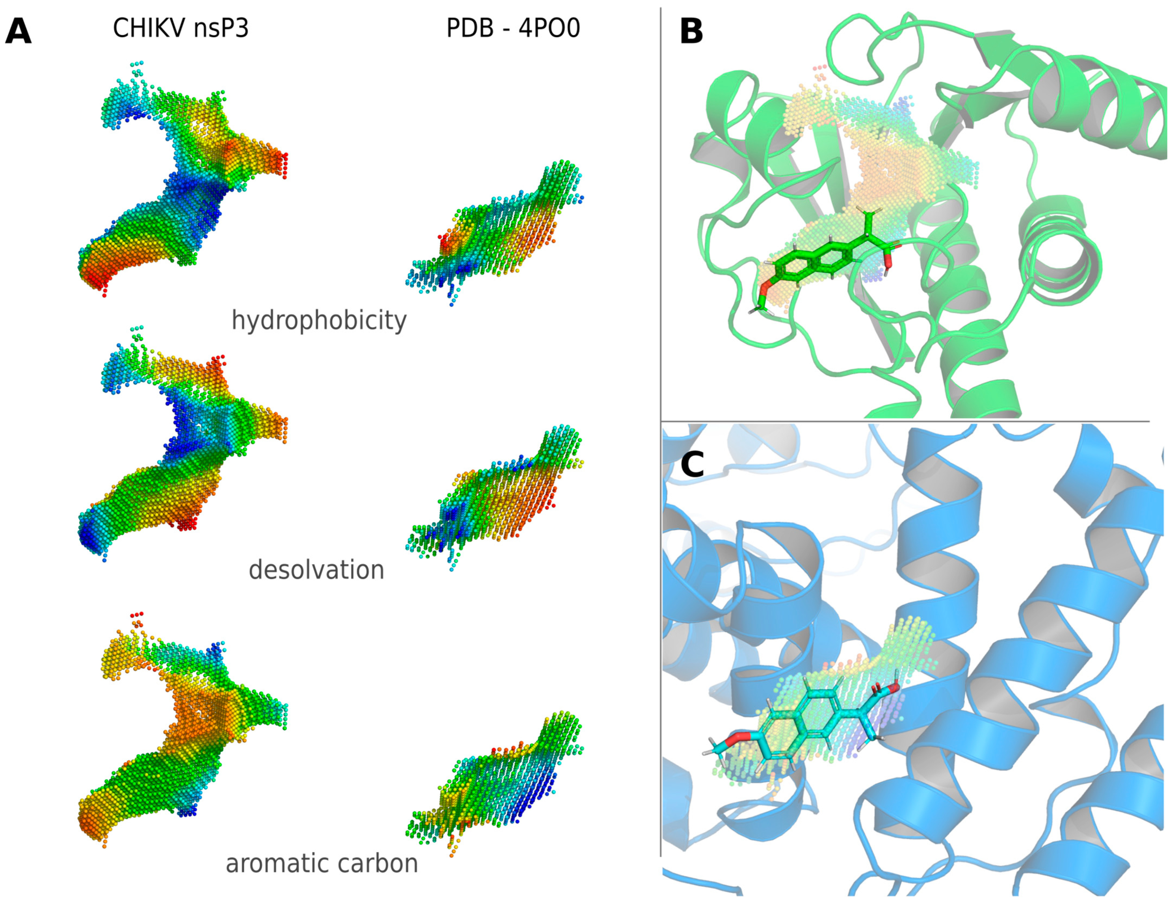 Viruses 16 01186 g003