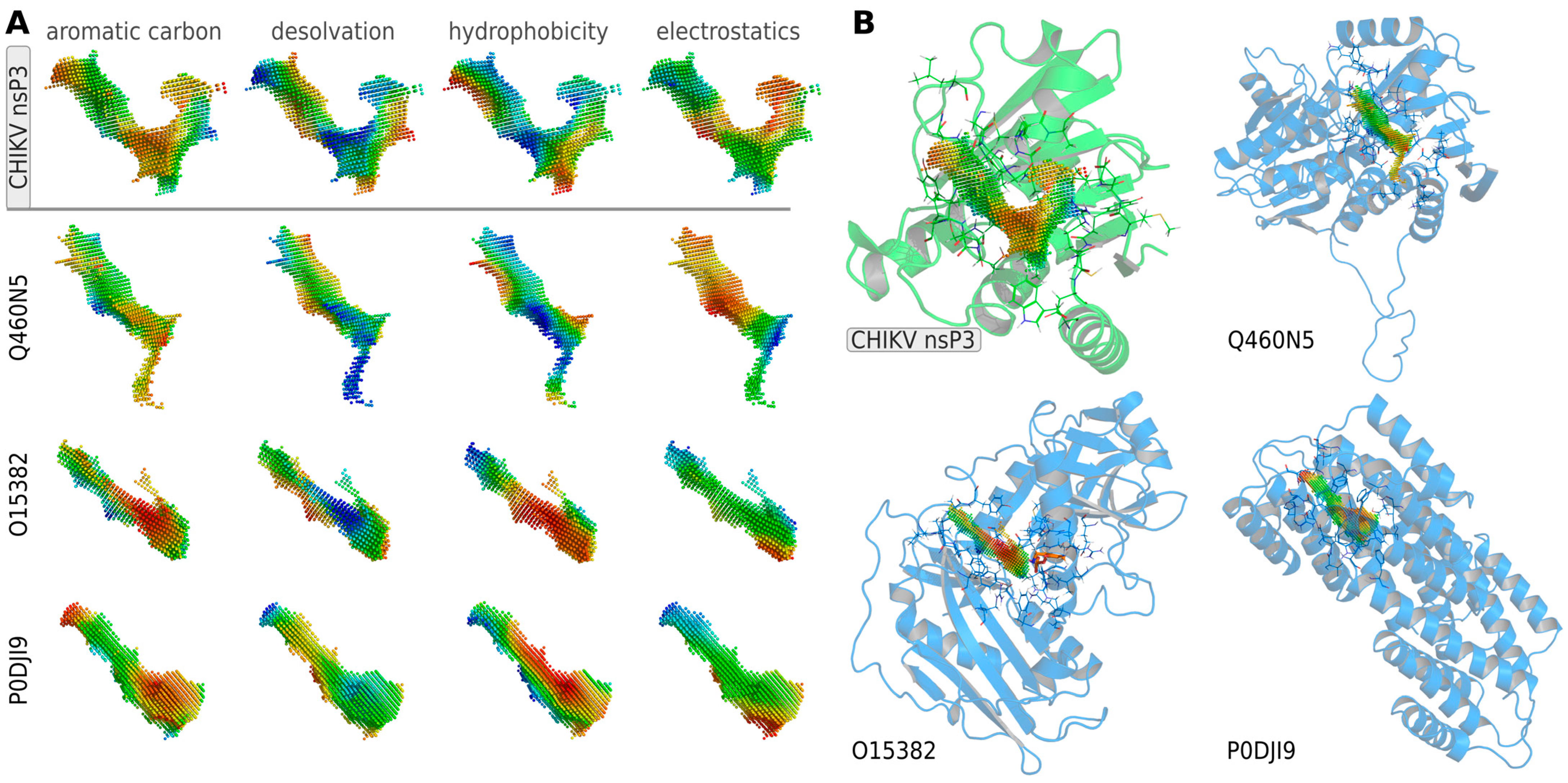 Viruses 16 01186 g005