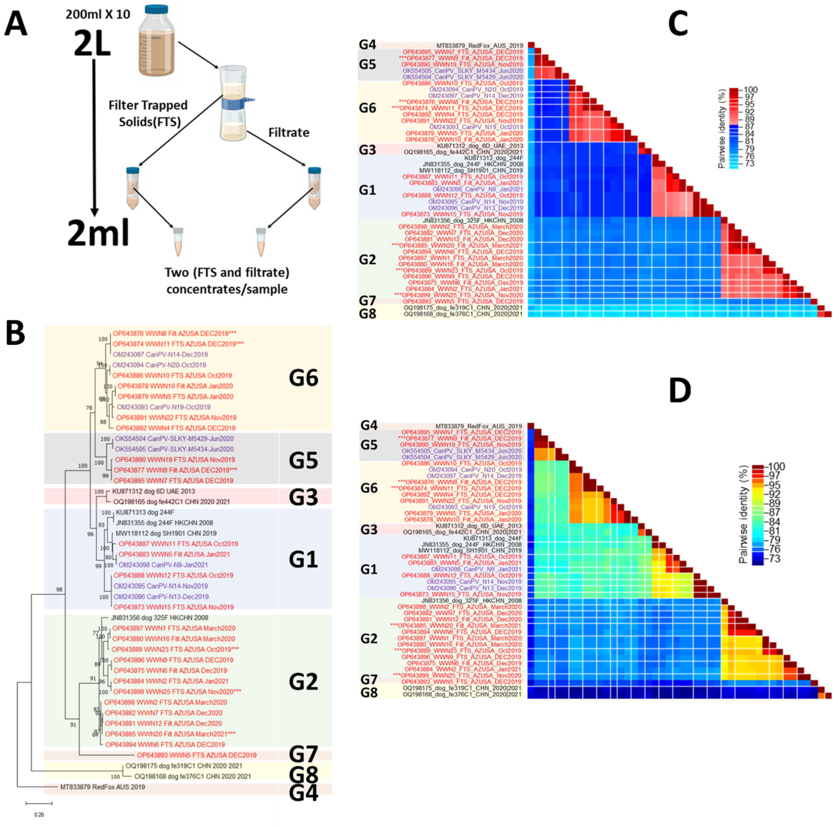 Viruses 16 01188 g001