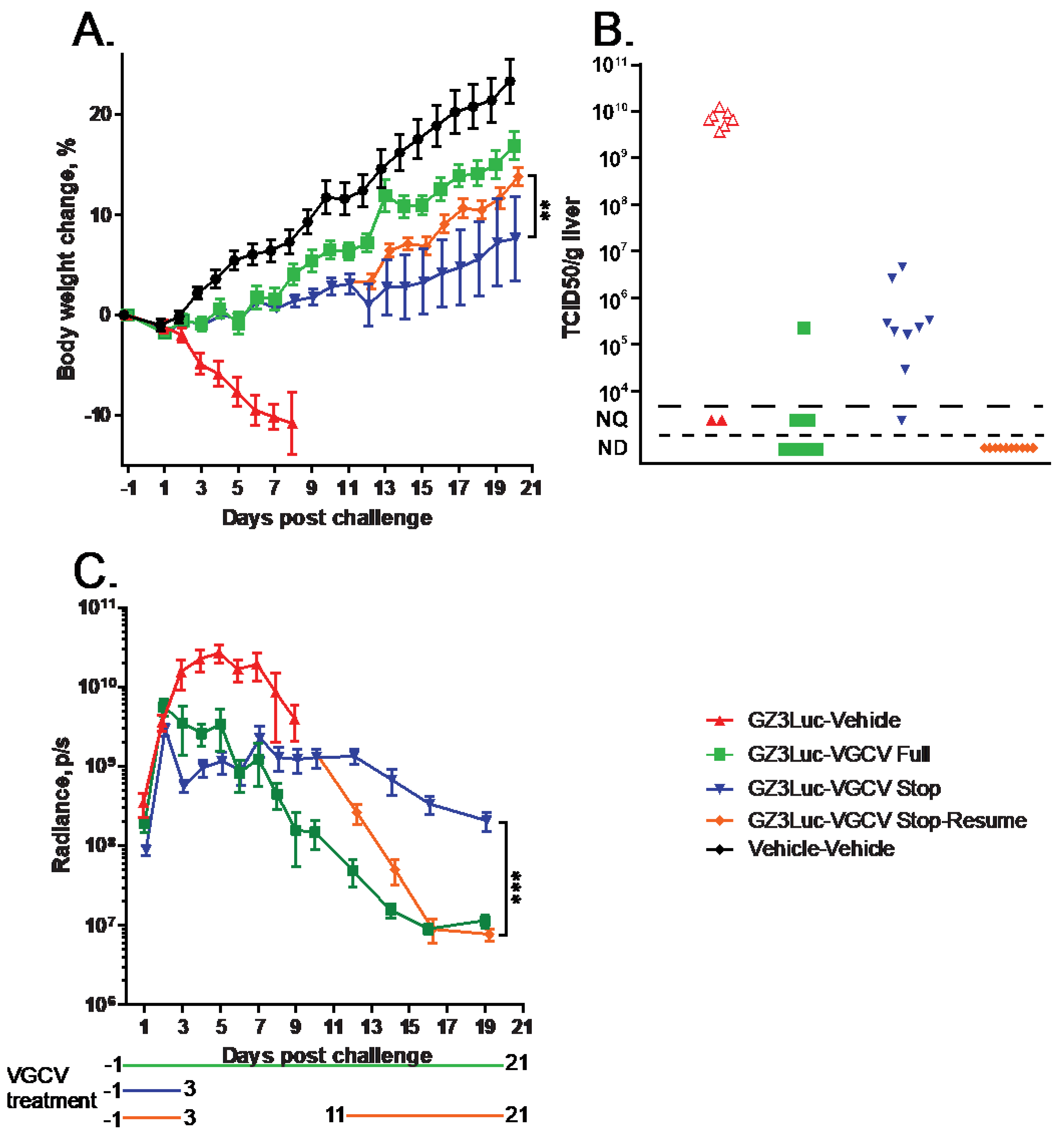 Viruses 16 01200 g005
