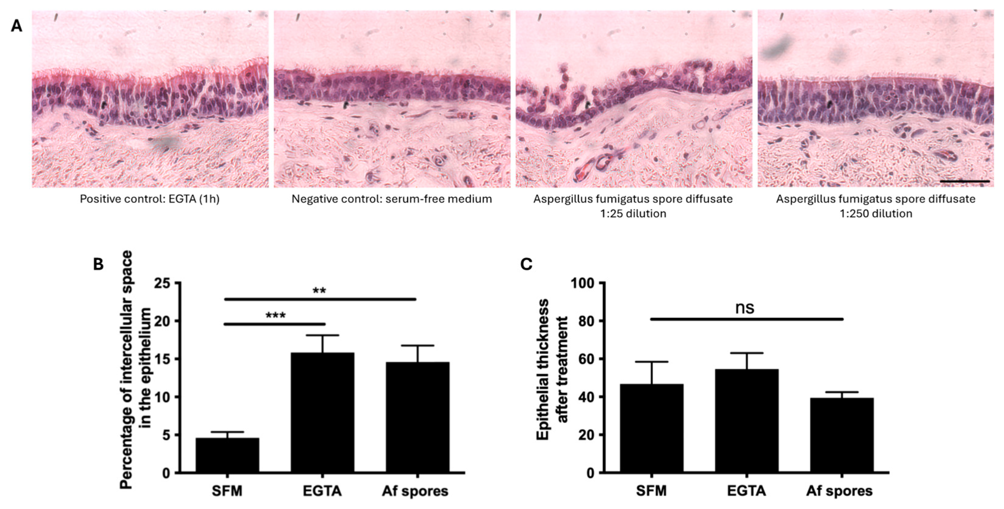 Viruses 16 01208 g003