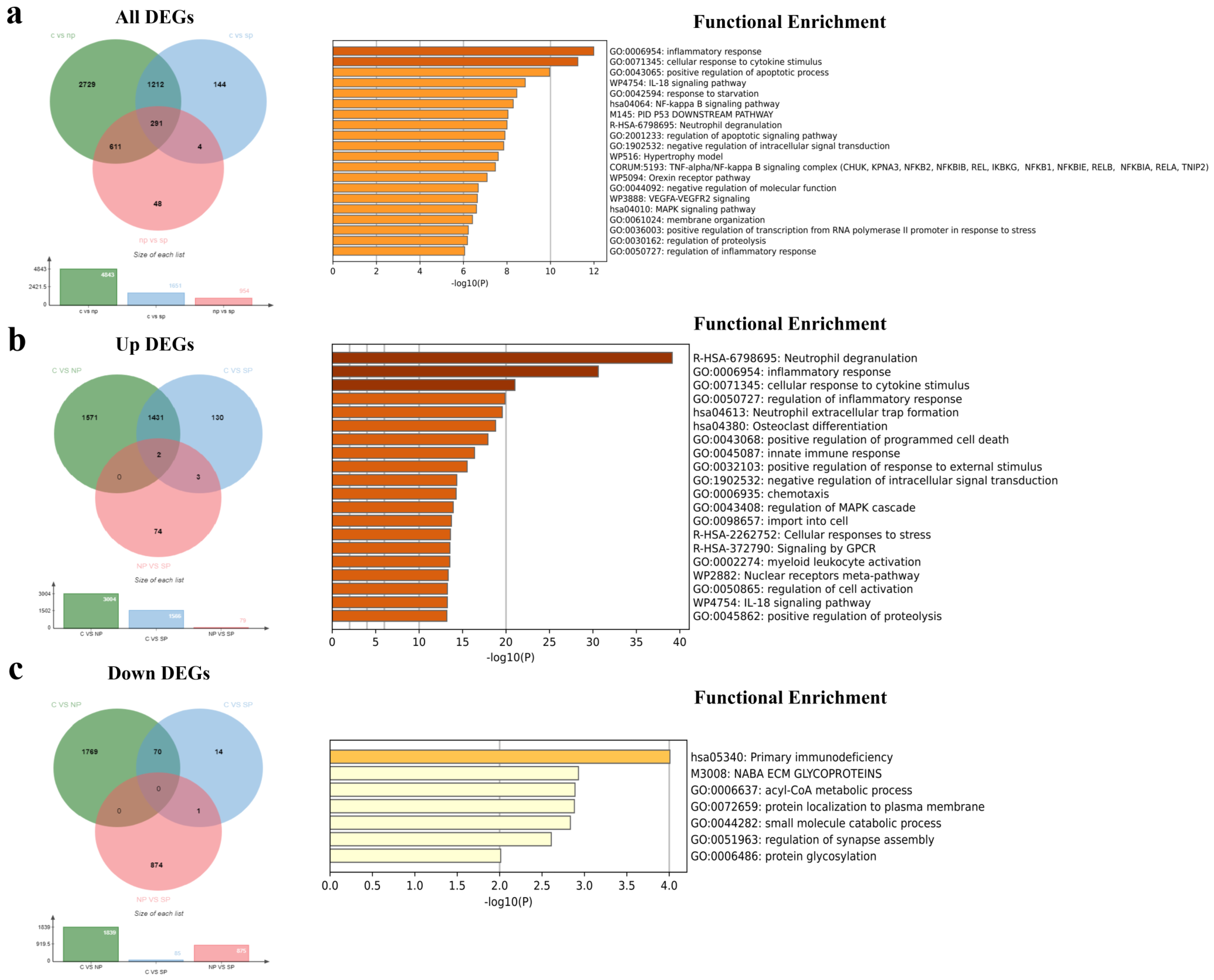 Viruses 16 01211 g002