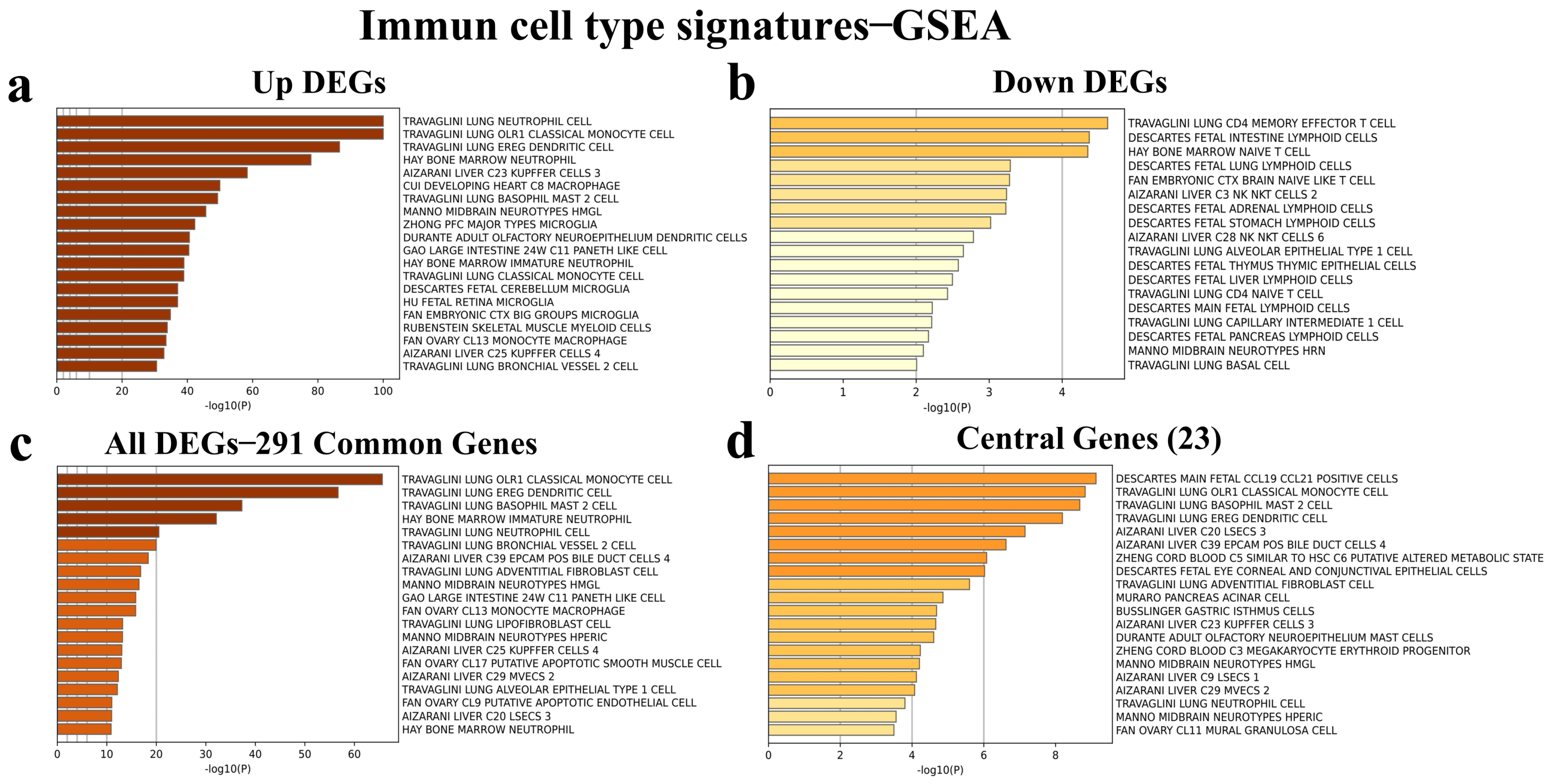 Viruses 16 01211 g004