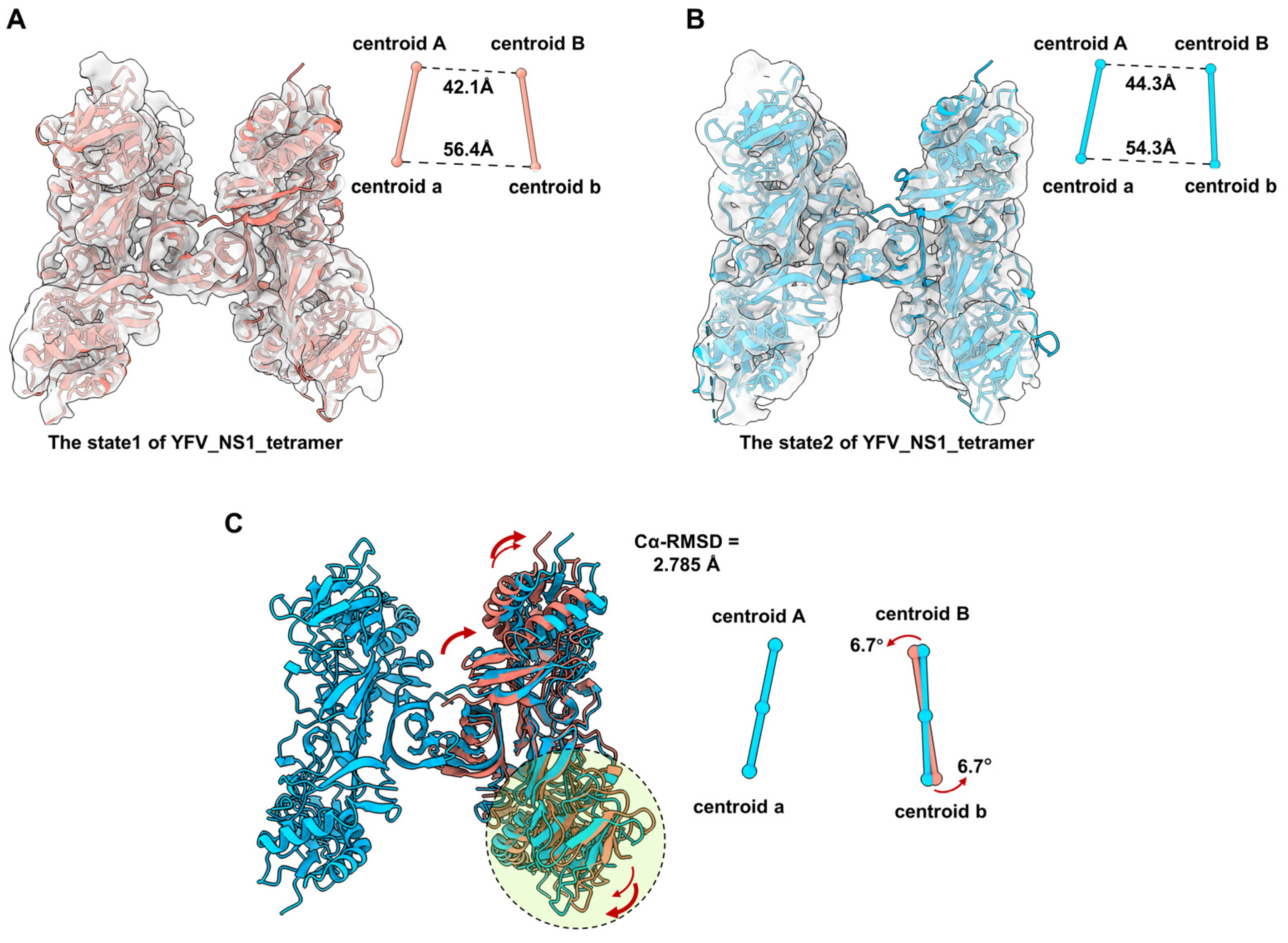 Viruses 16 01212 g004