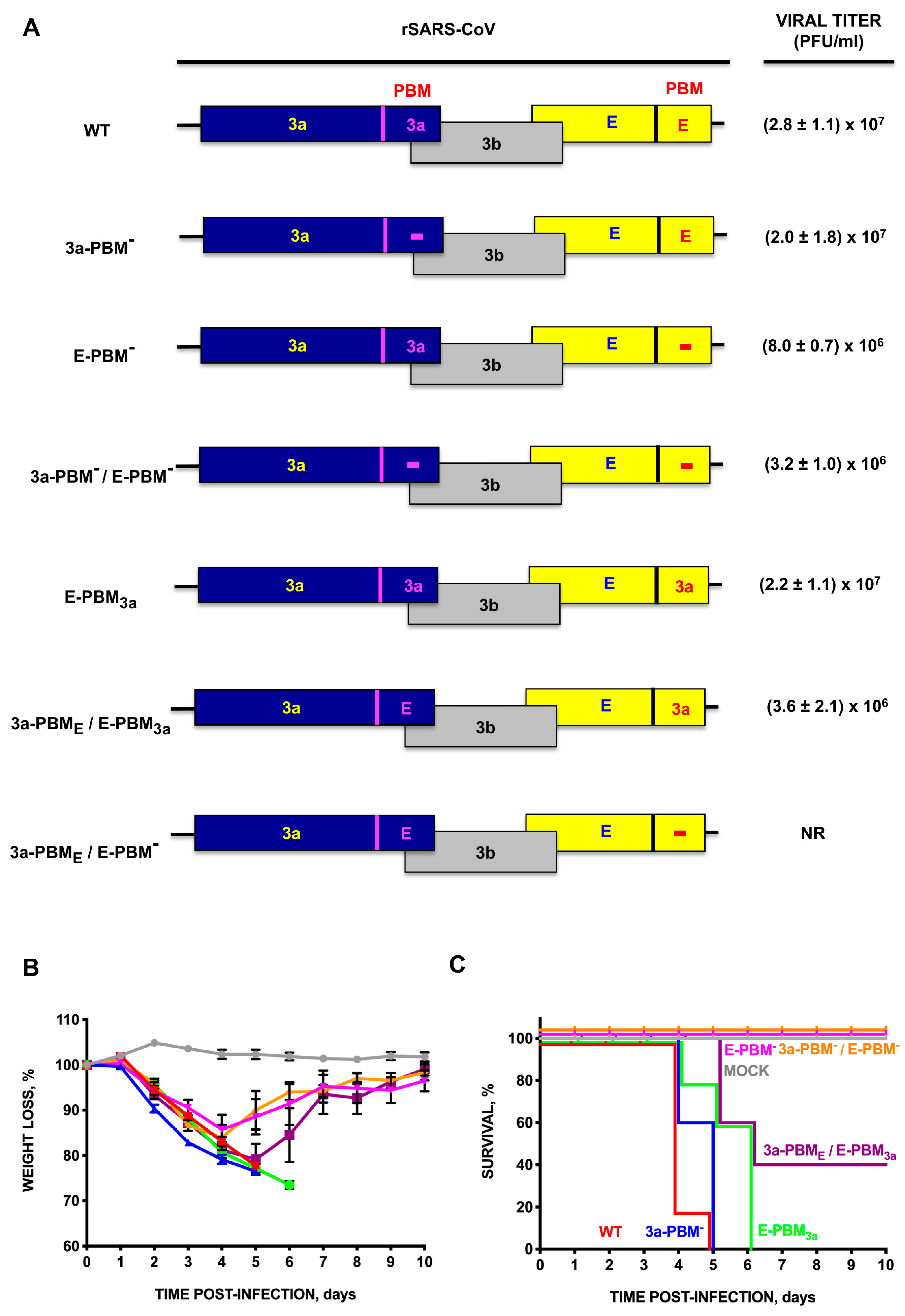 Viruses 16 01214 g001
