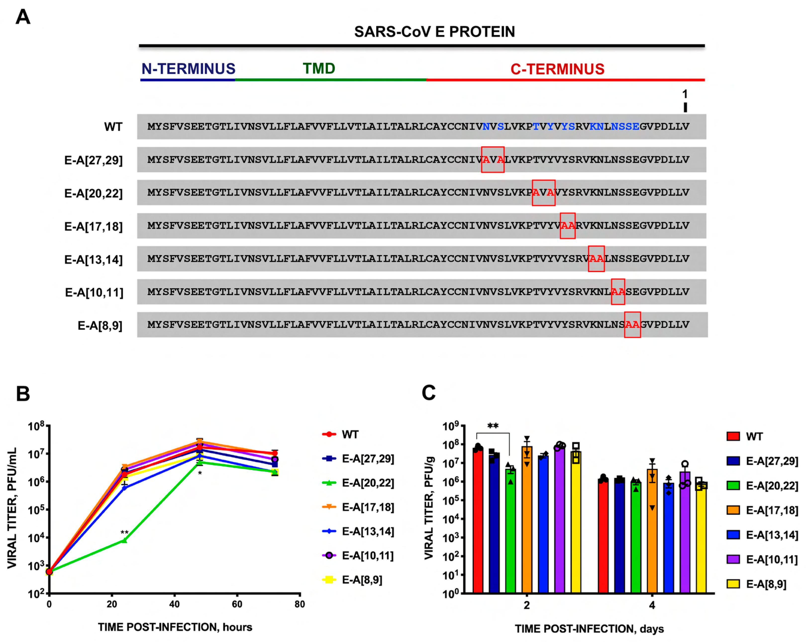 Viruses 16 01214 g003