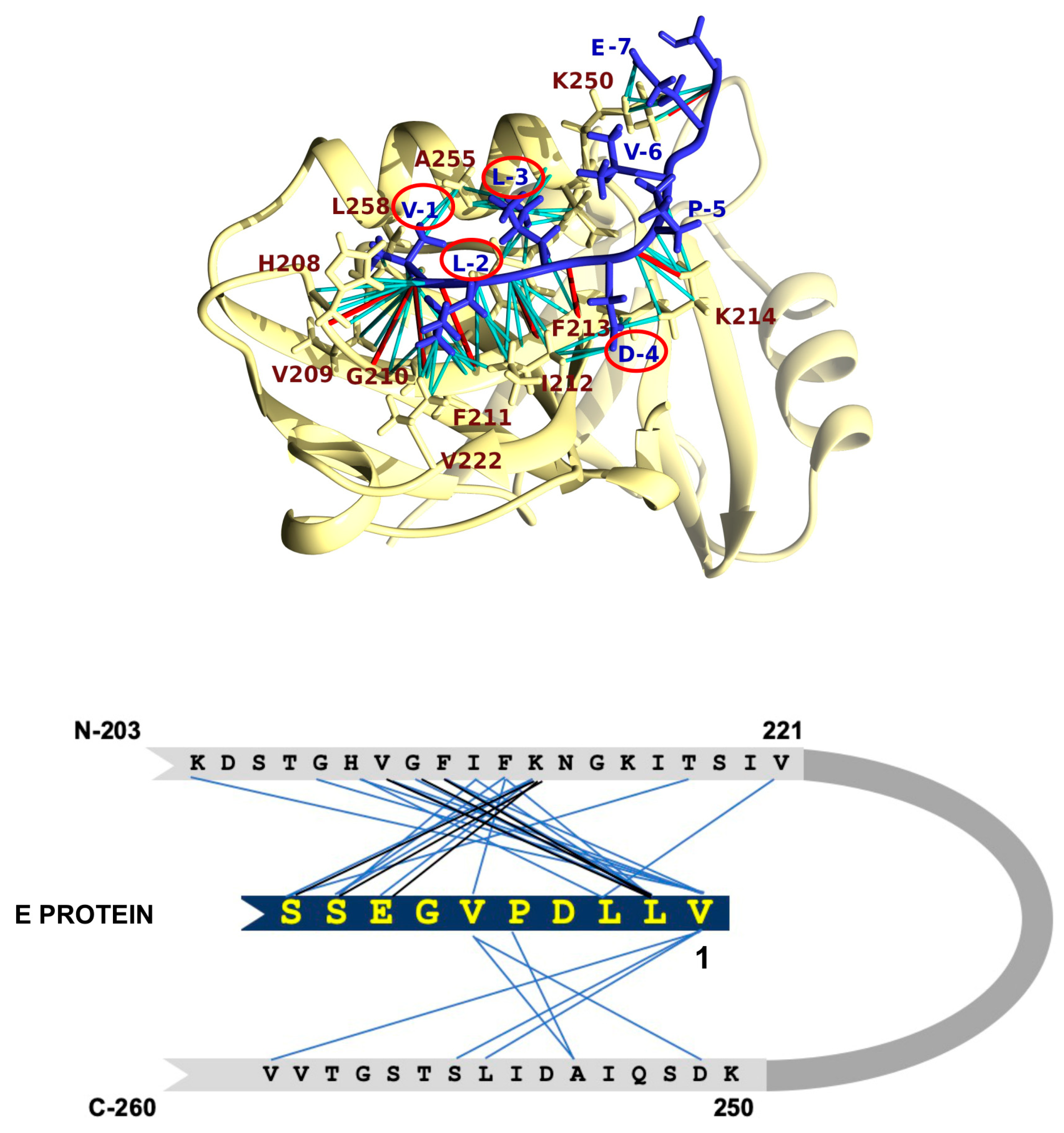 Viruses 16 01214 g008