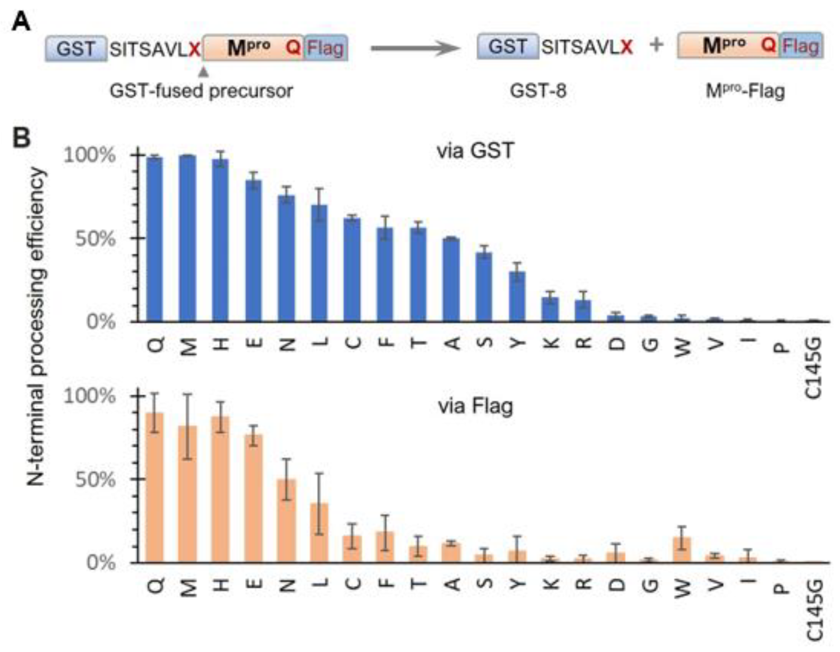 Viruses 16 01218 g002