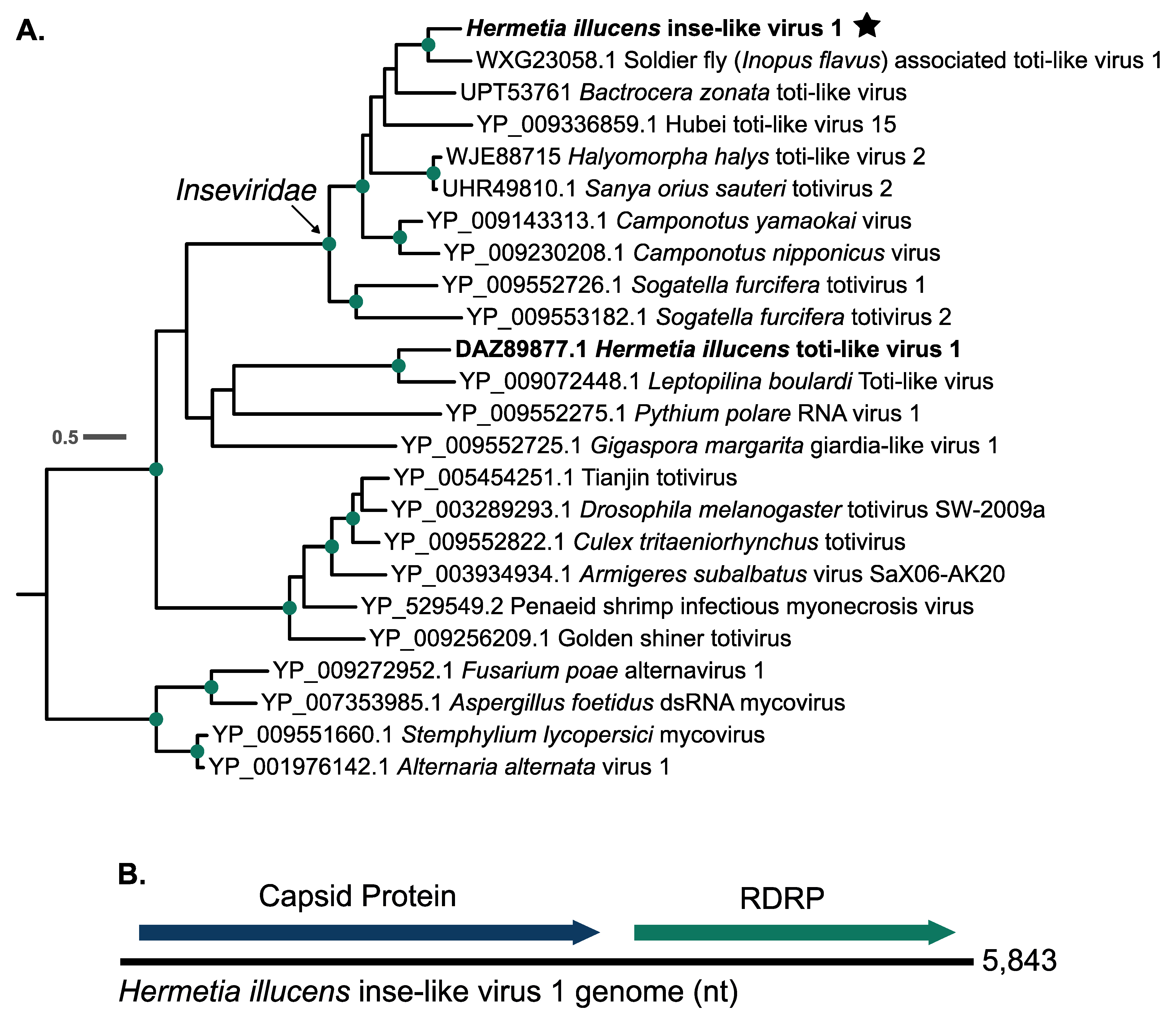 Viruses 16 01219 g002