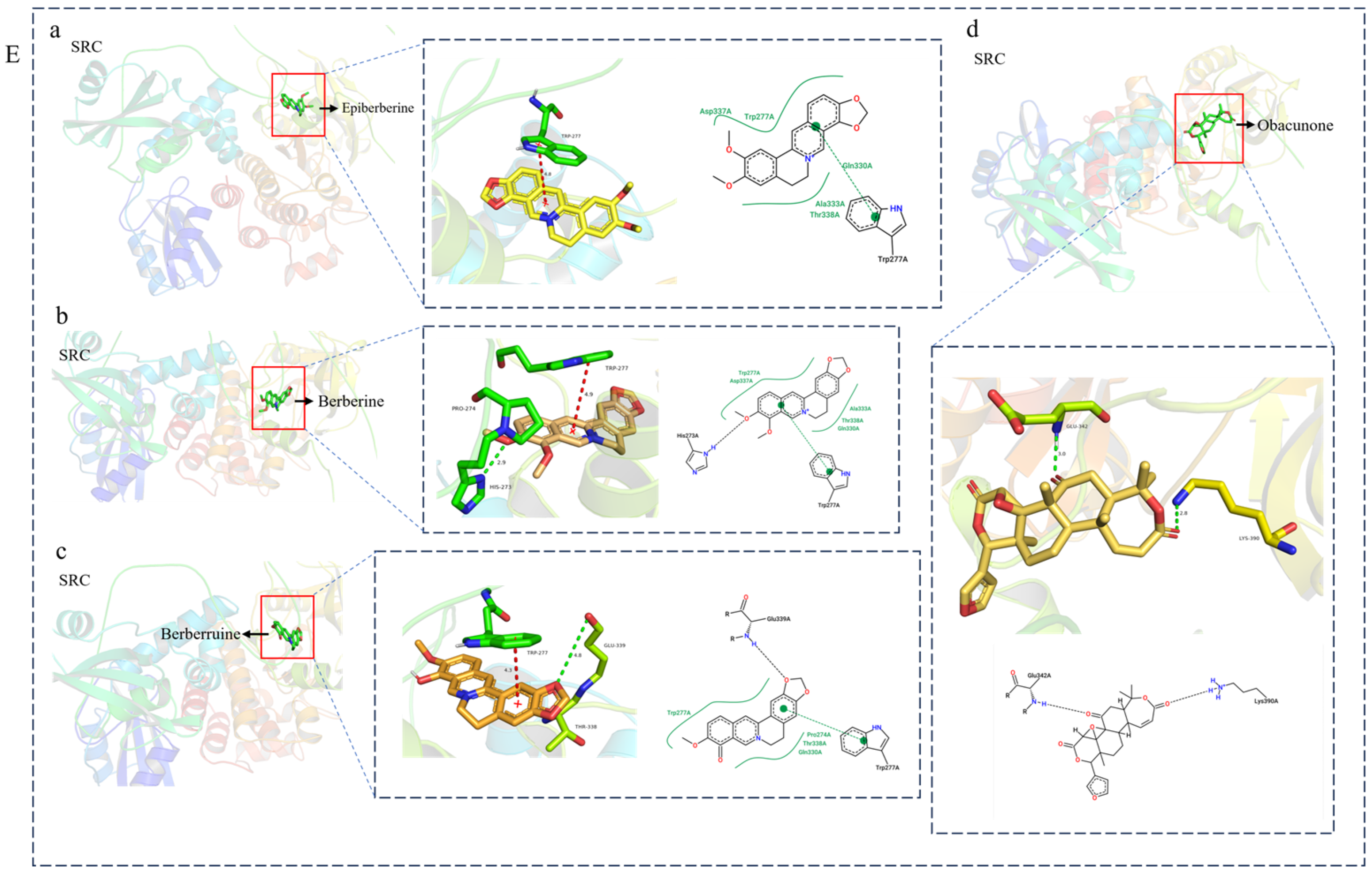 Viruses 16 01229 g005b
