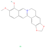 Viruses 16 01229 i003
