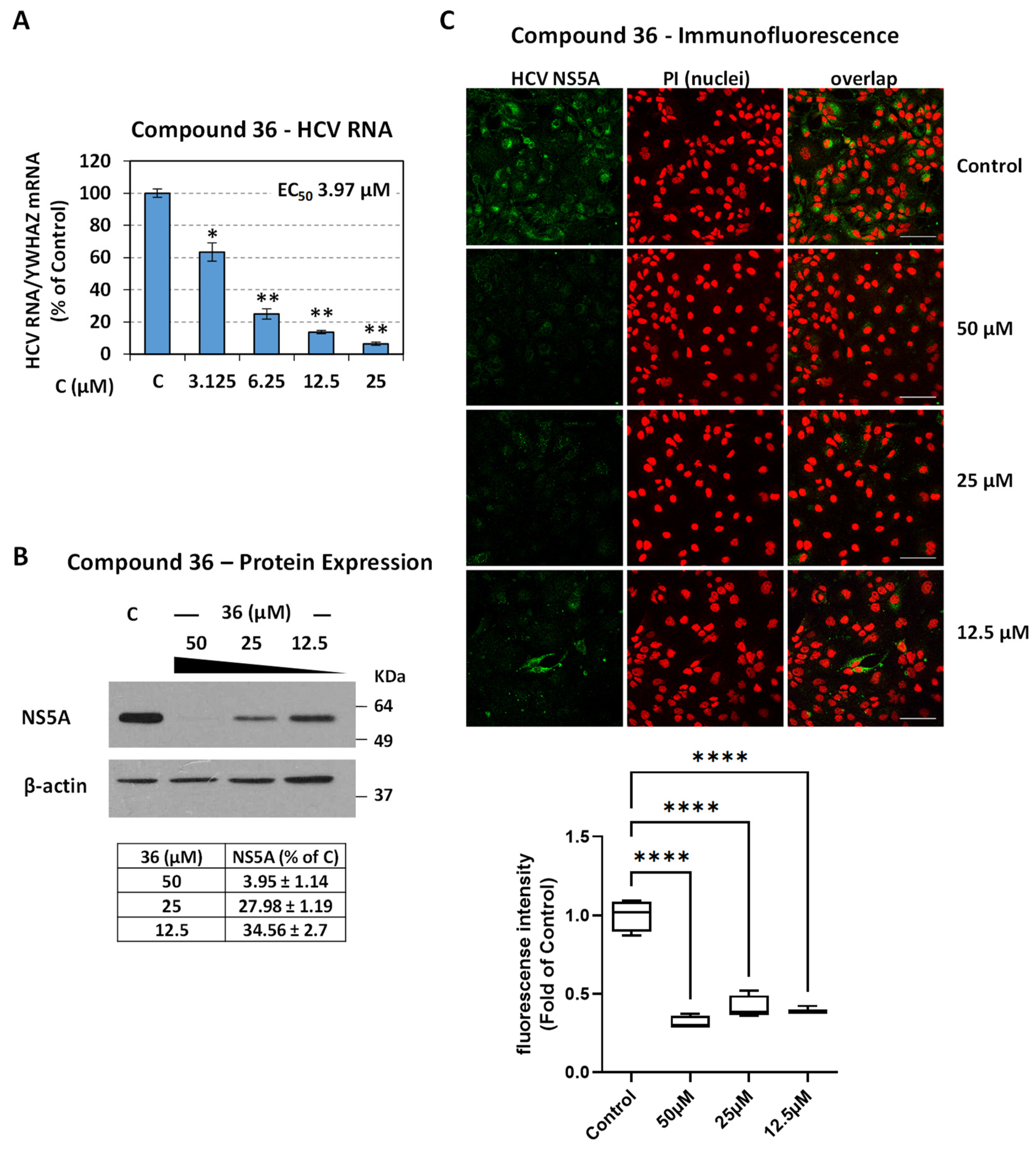 Viruses 16 01238 g001