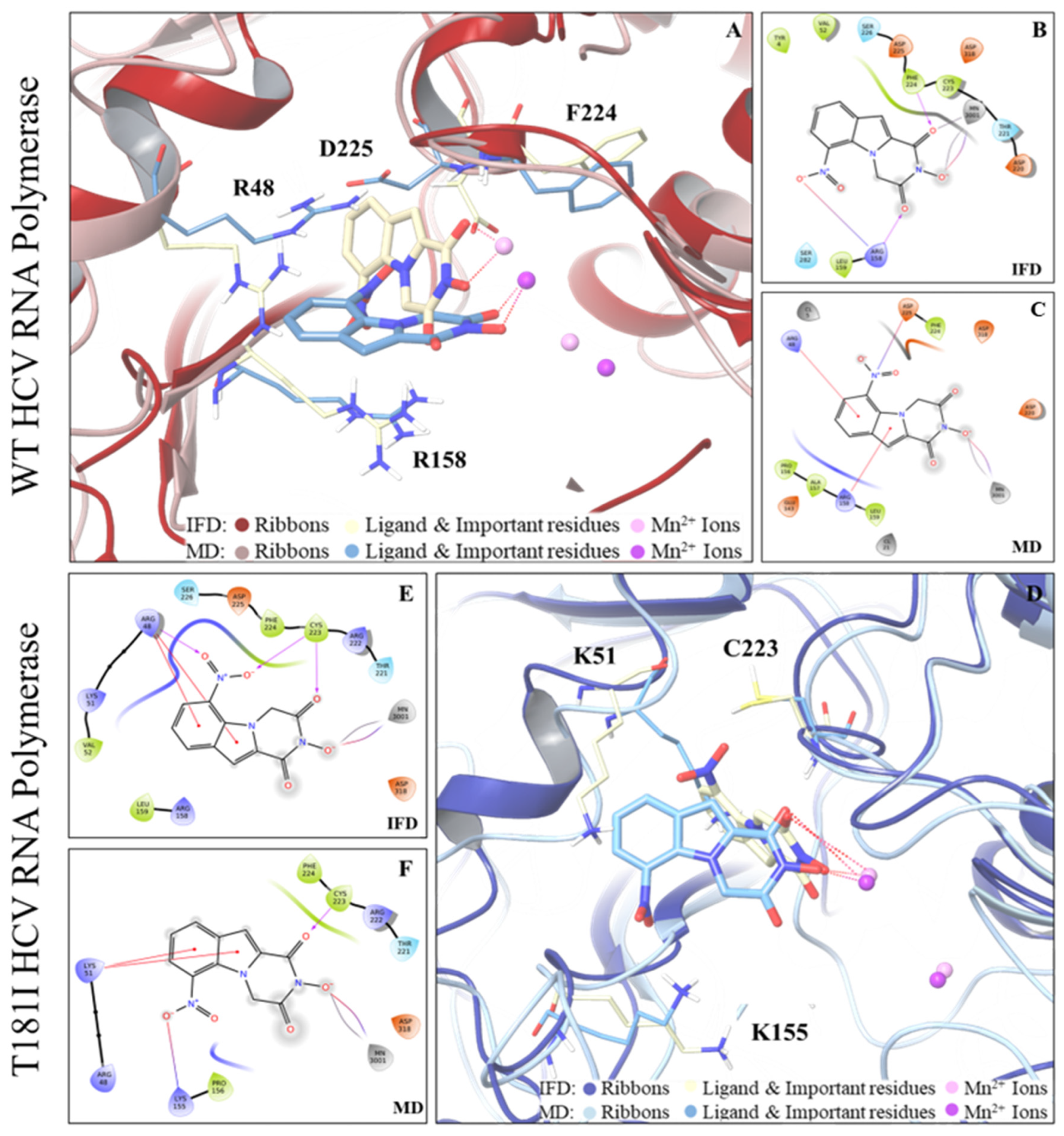 Viruses 16 01238 g004