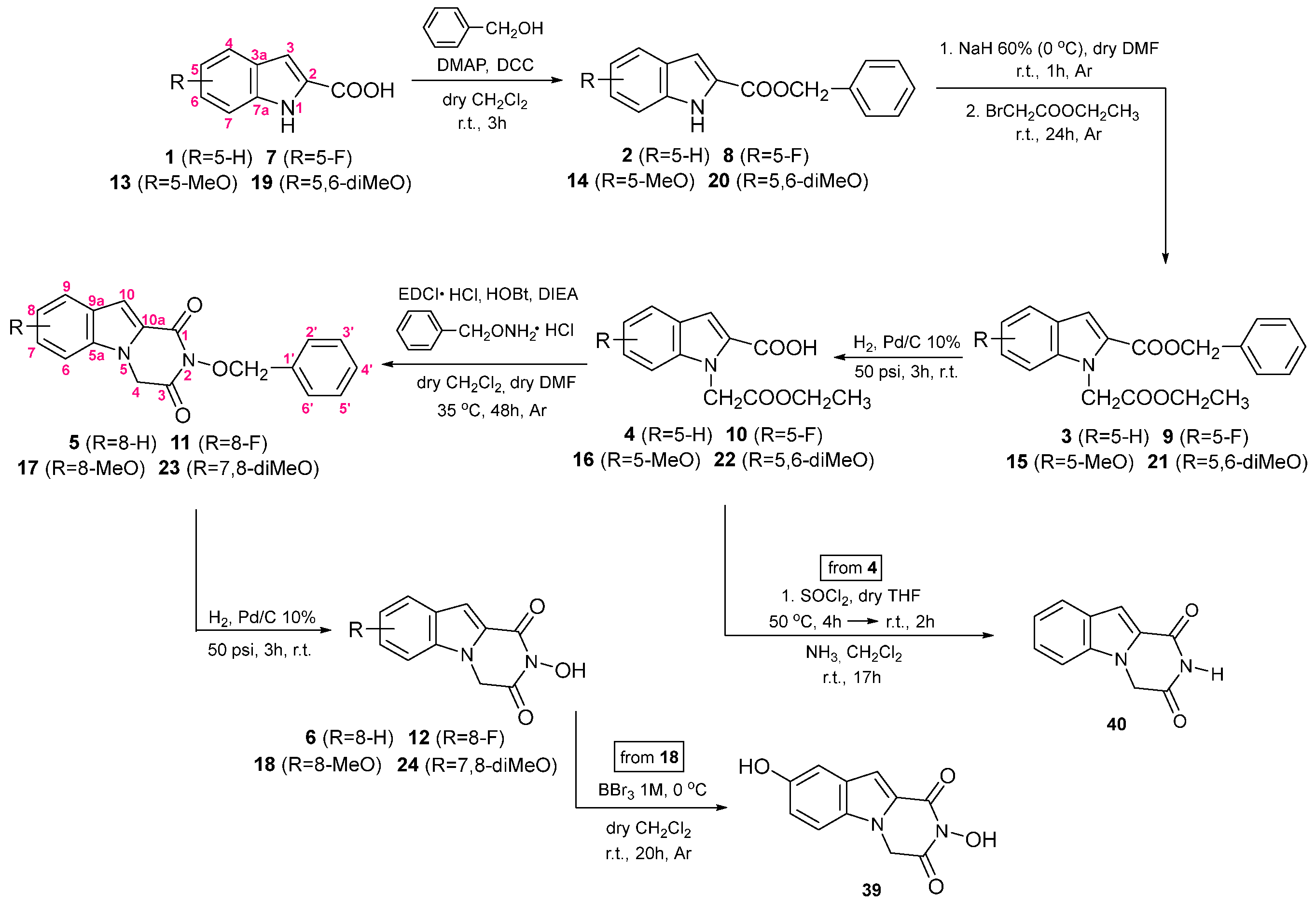 Viruses 16 01238 sch001